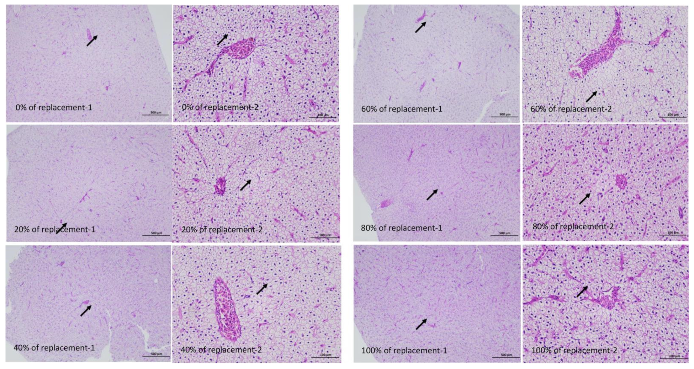 Fishes 08 00423 g001