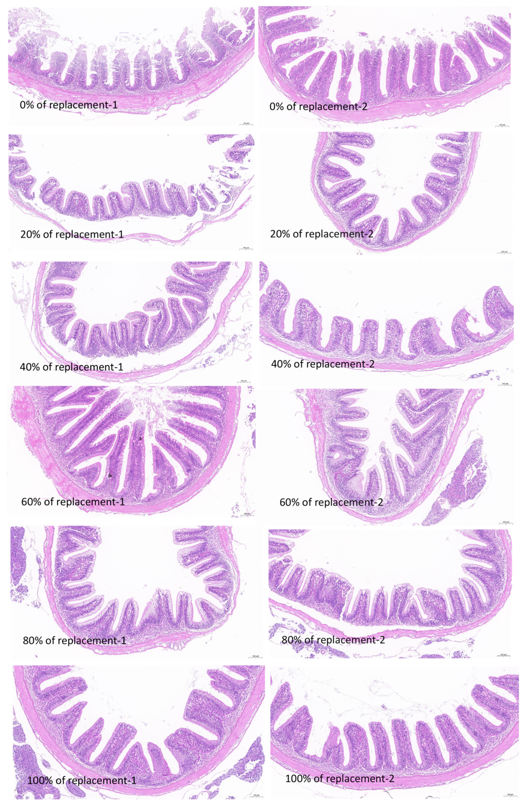 Fishes 08 00423 g002