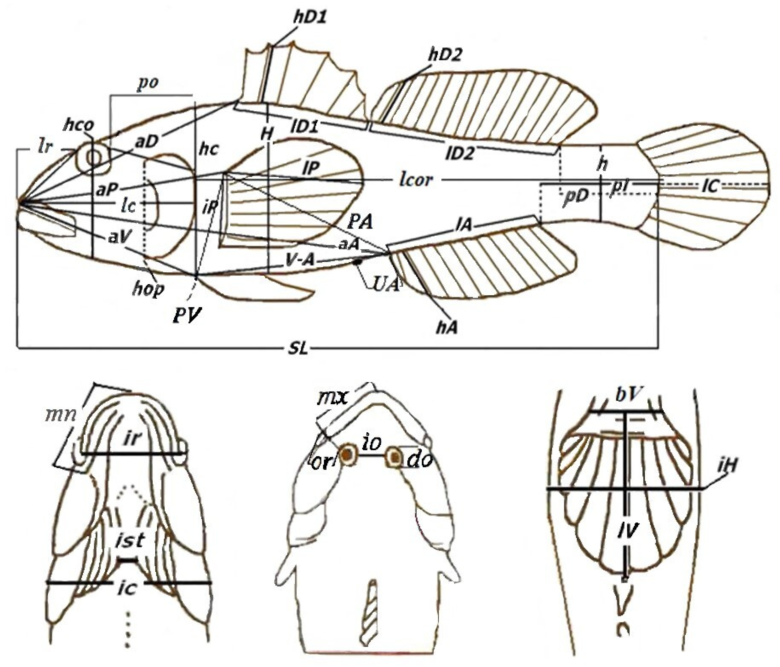 Fishes 08 00427 g002 Fishes 08 00427 g002
