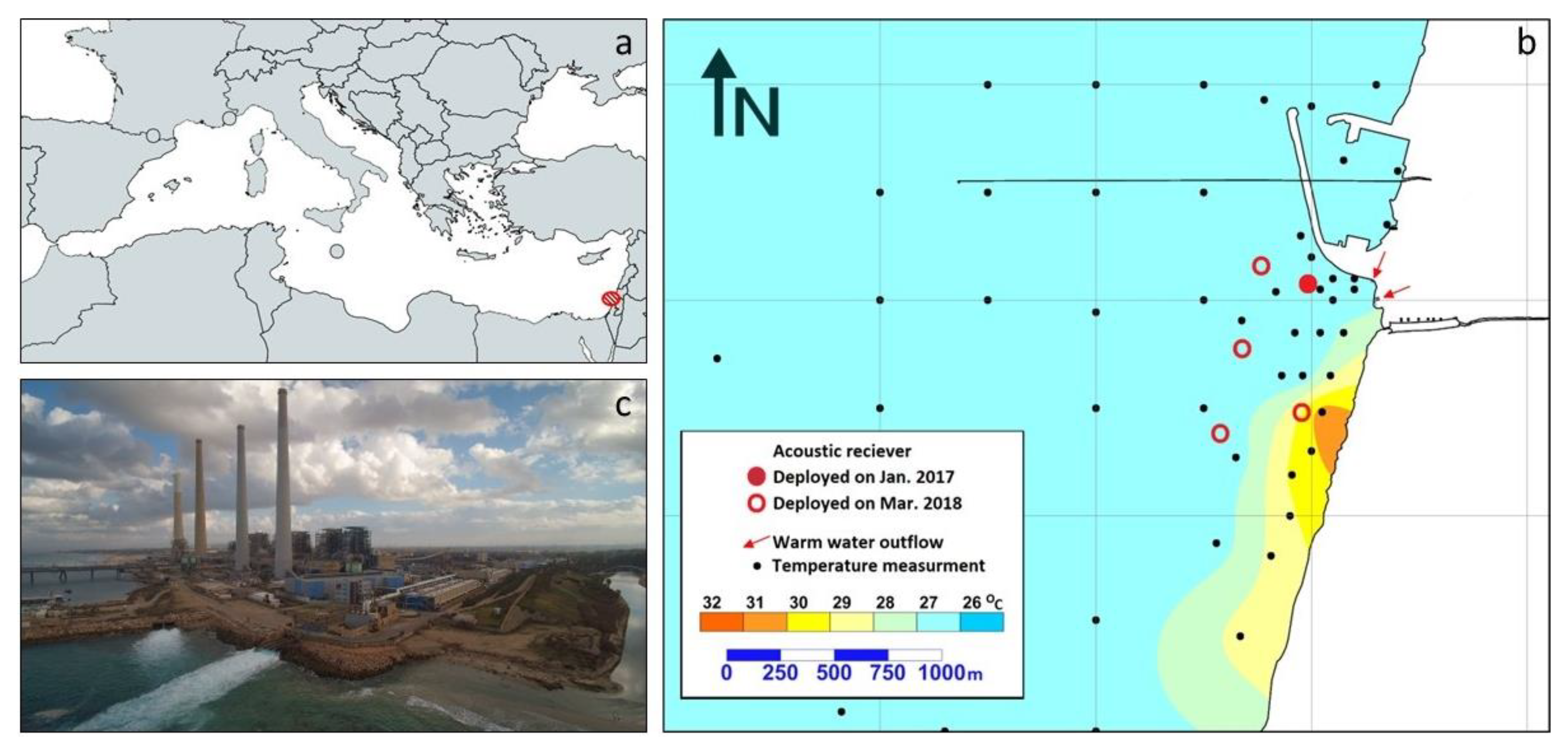 Fishes 08 00428 g001