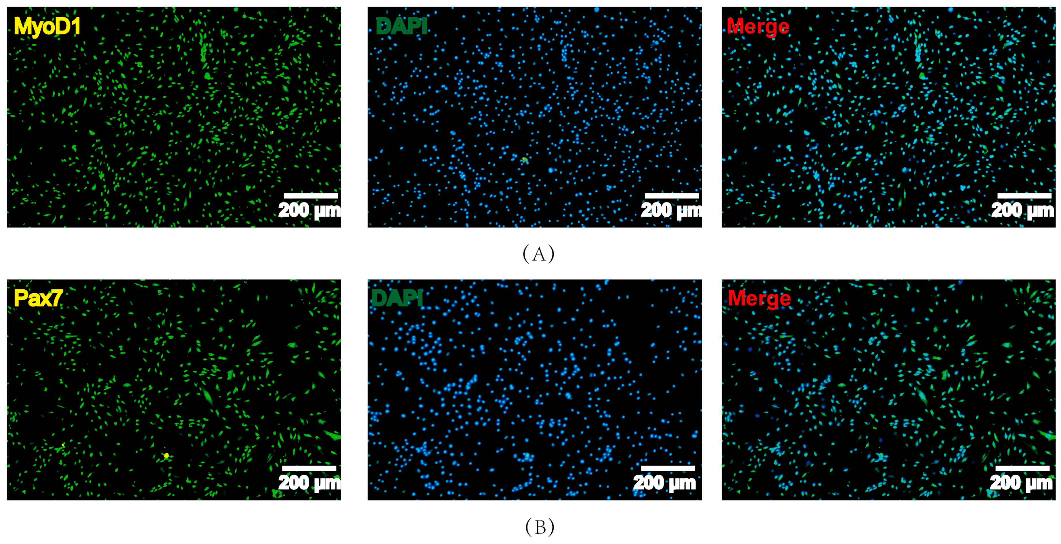 Fishes 08 00429 g001