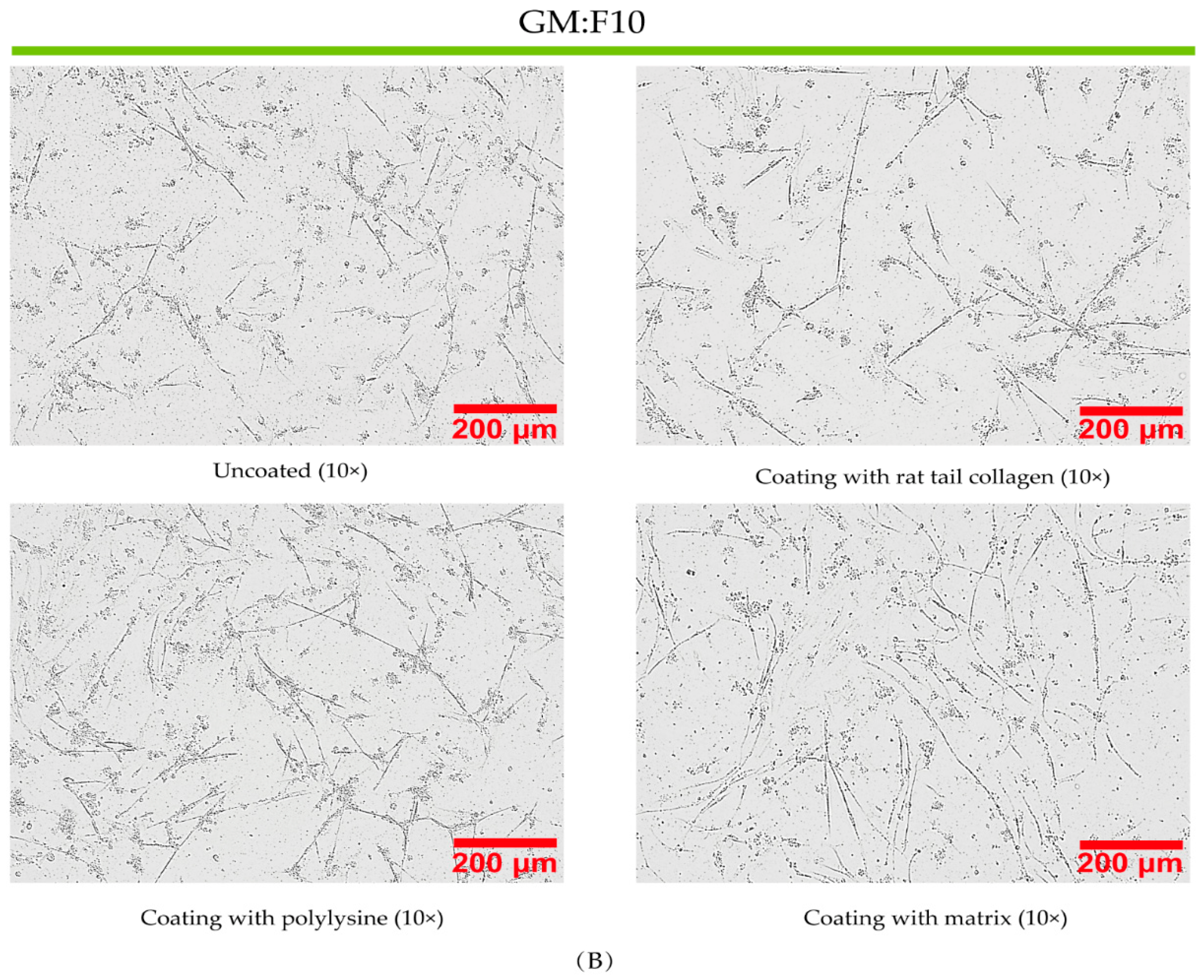 Fishes 08 00429 g004b