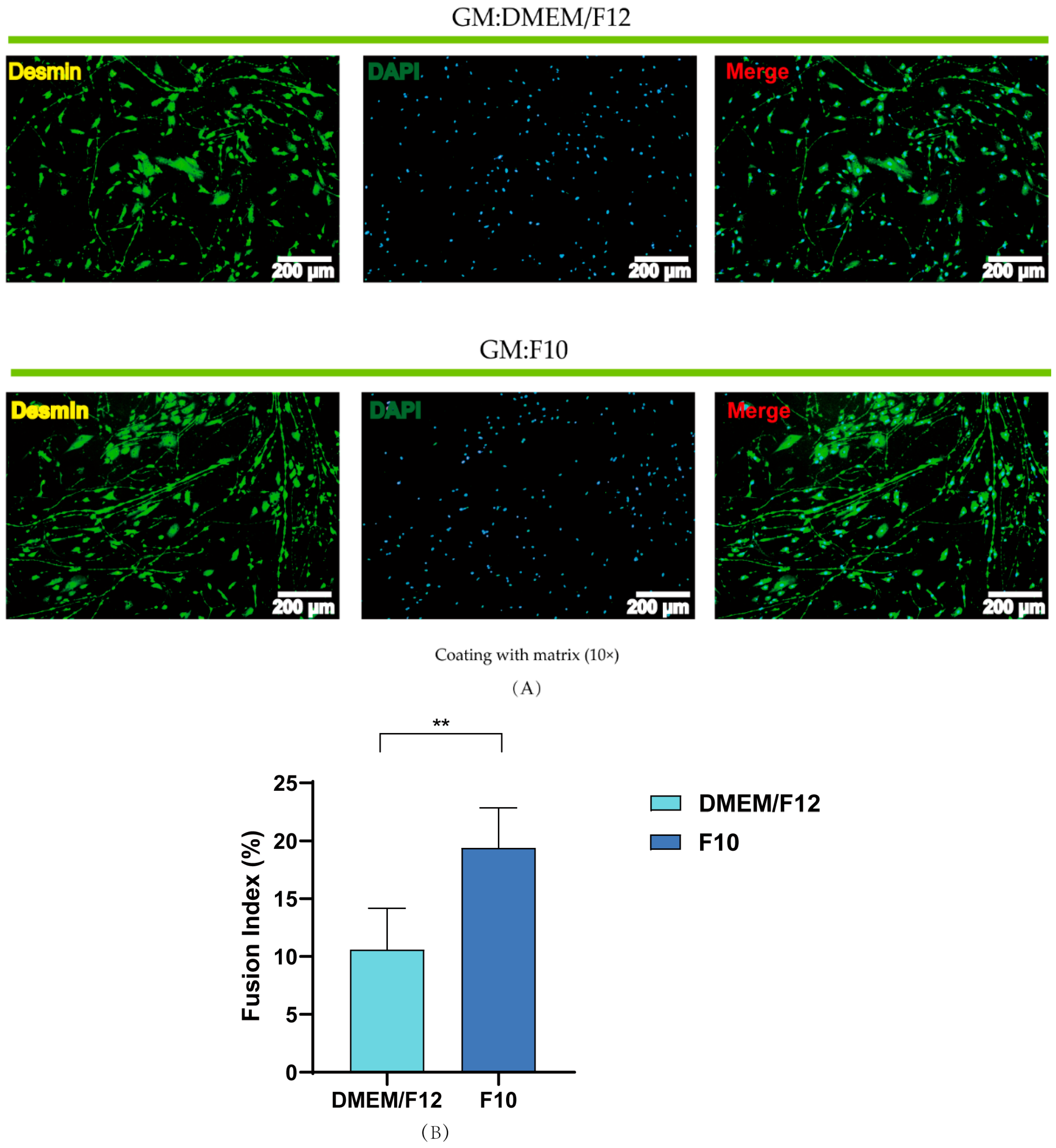 Fishes 08 00429 g005