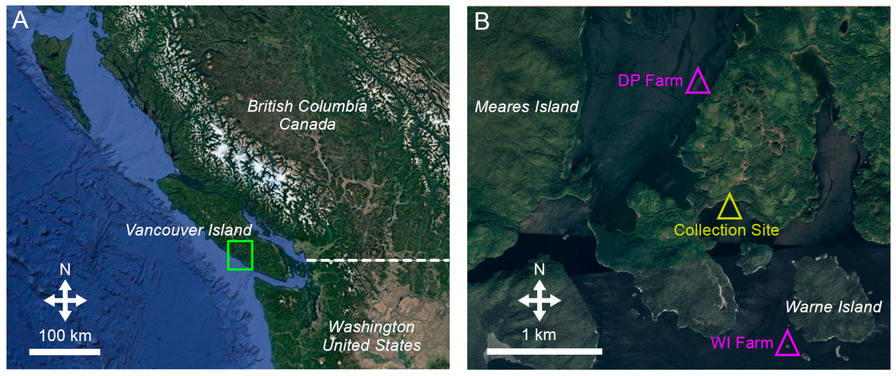 Fishes 08 00430 g001