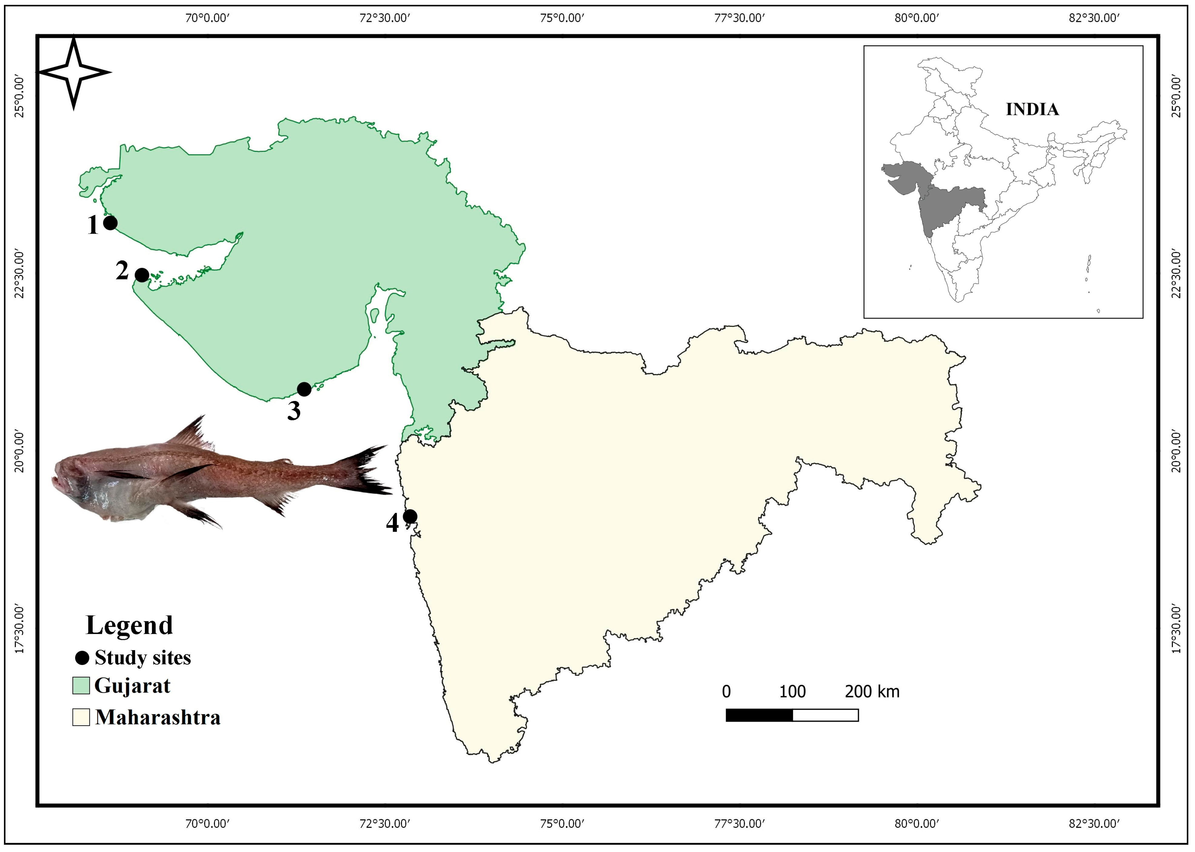 Fishes 08 00432 g001