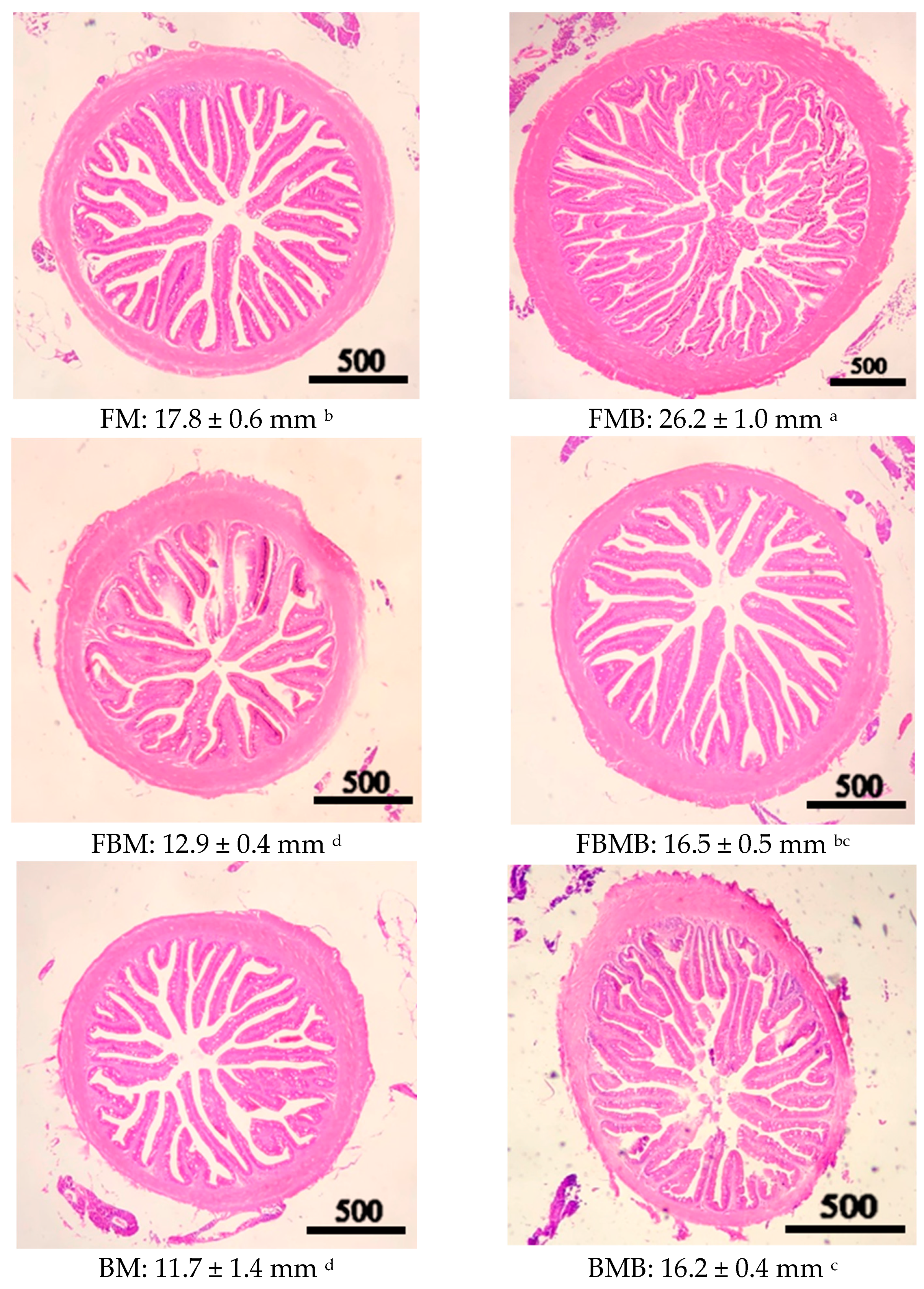 Fishes 08 00437 g001