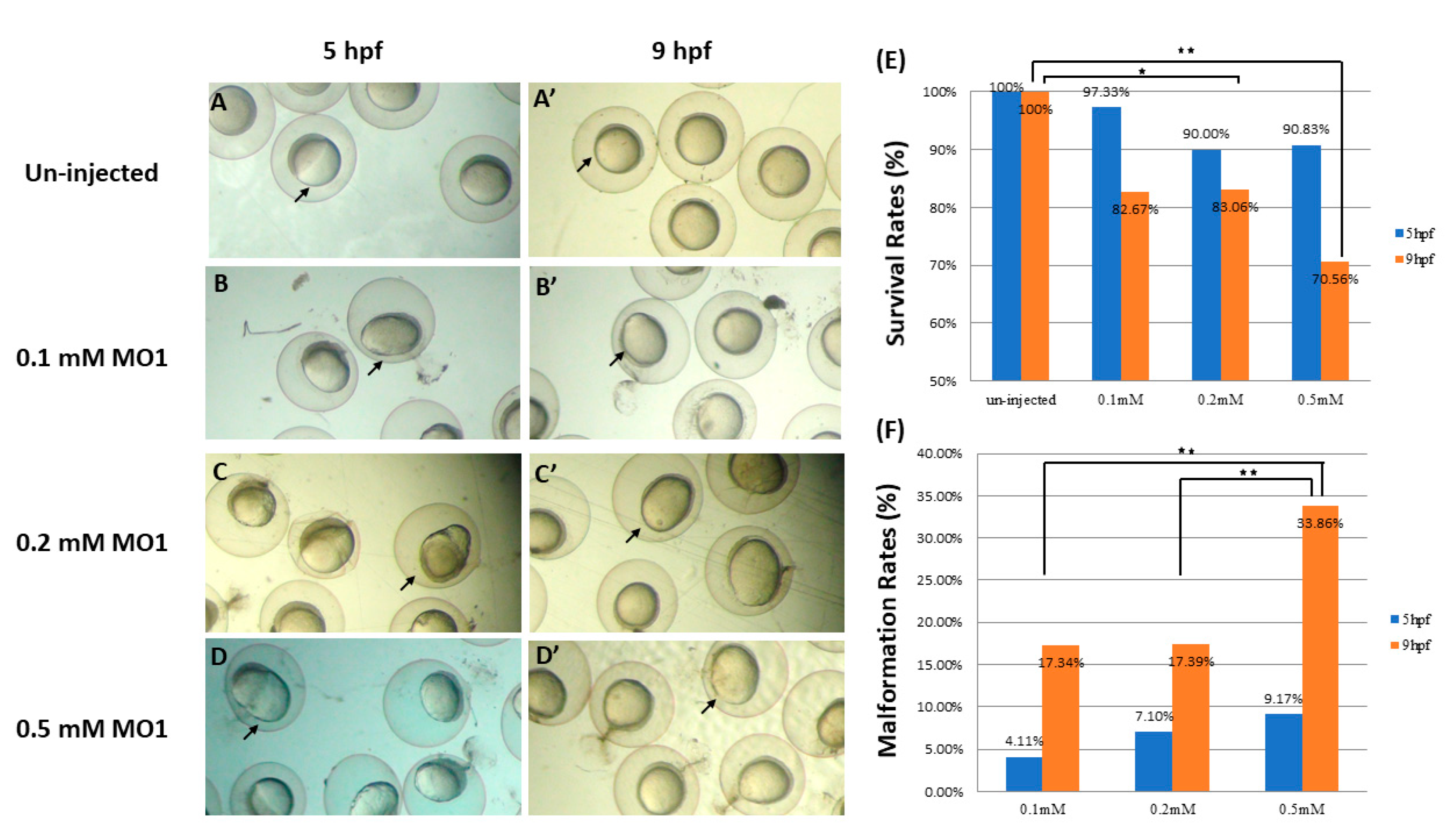 Fishes 08 00440 g003 Fishes 08 00440 g003