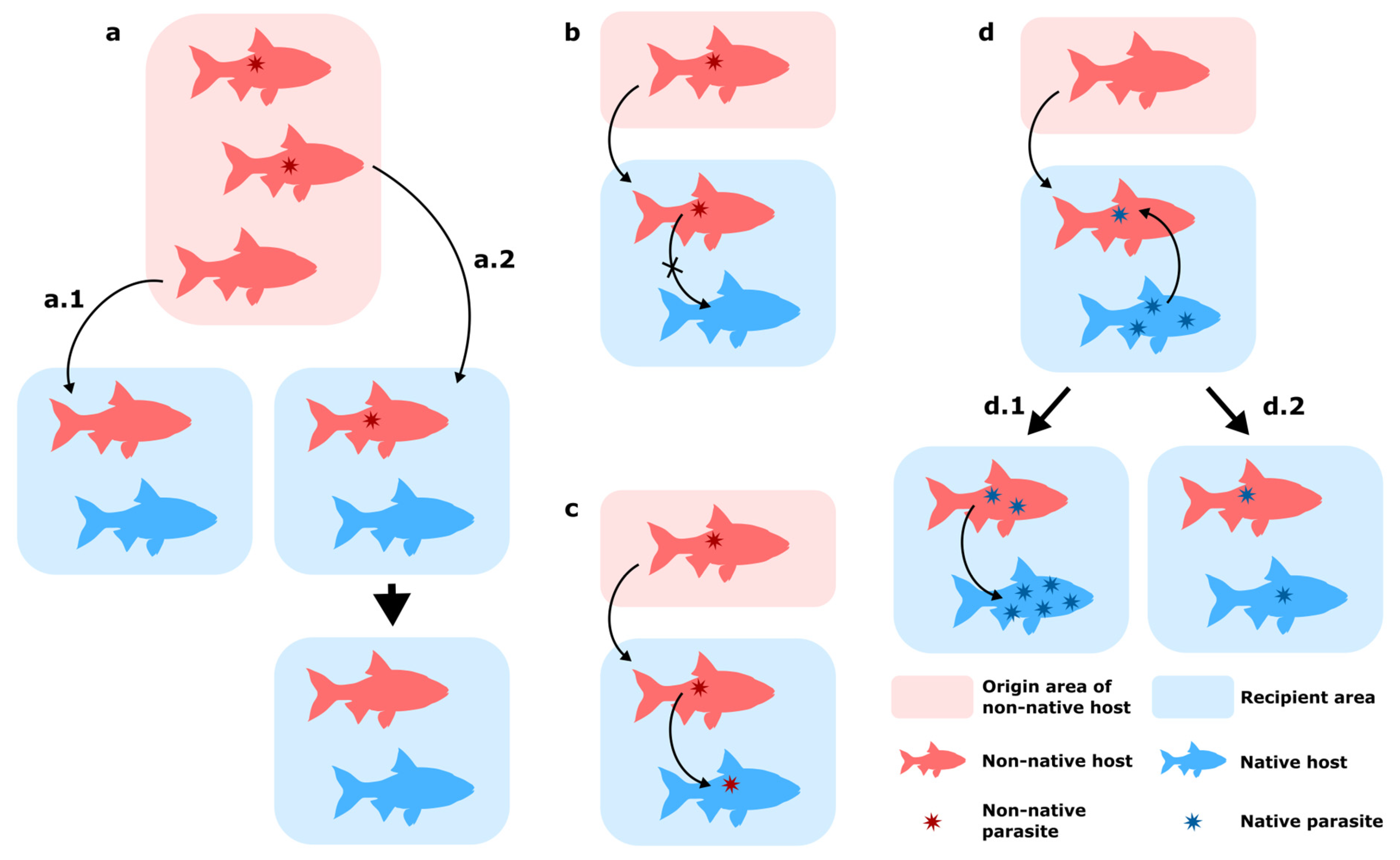 Fishes 08 00450 g001 Fishes 08 00450 g001