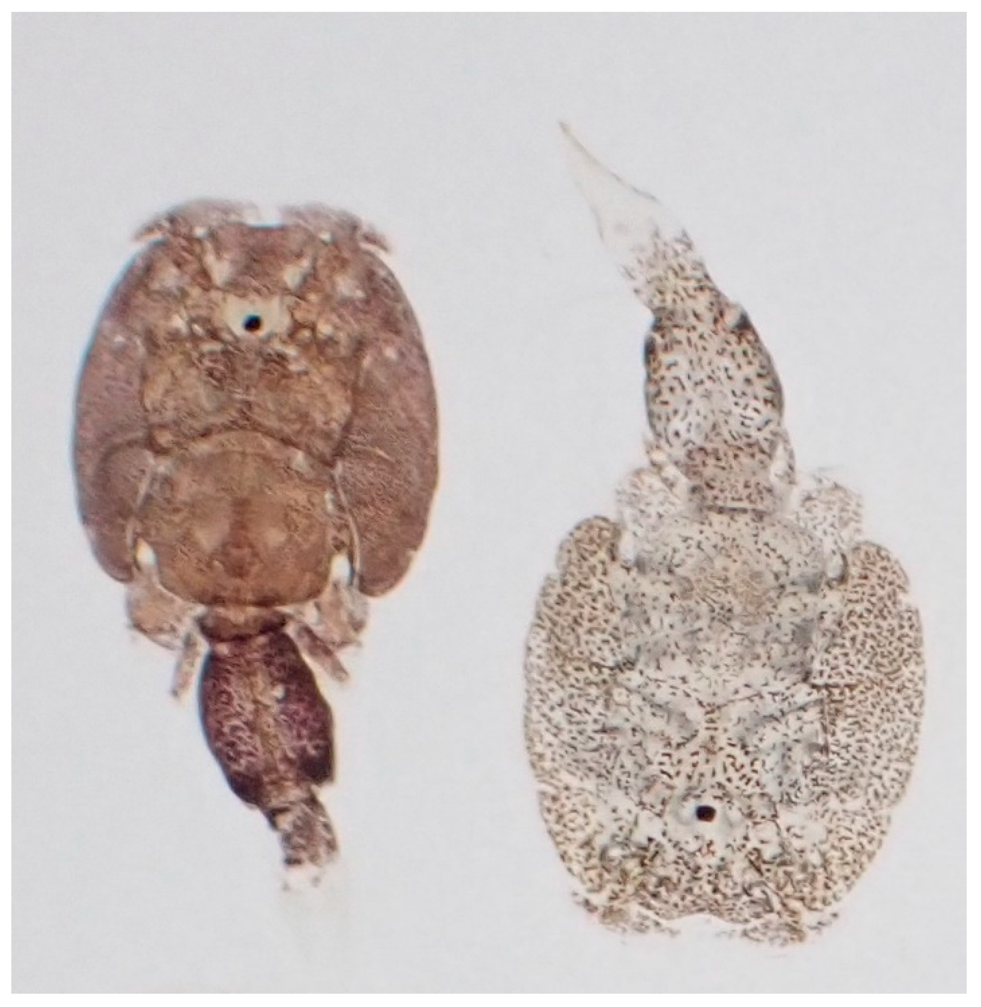 Fishes 08 00455 g002