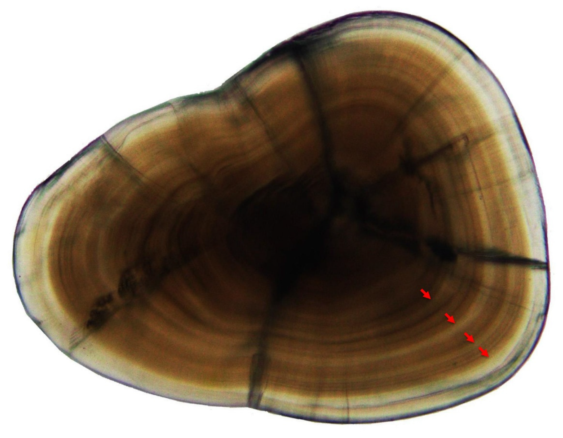 Fishes 08 00457 g004