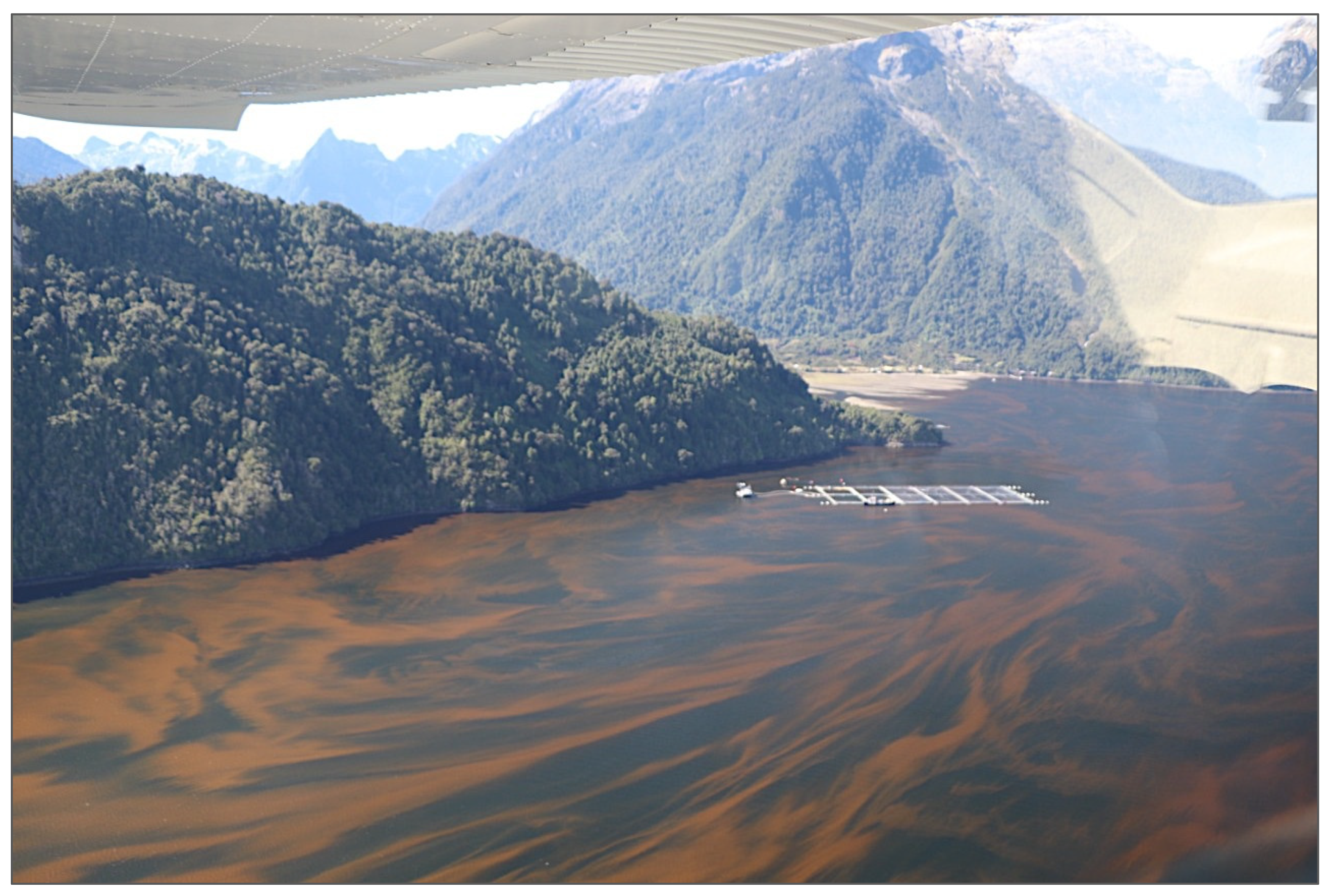 Fishes 08 00461 g002