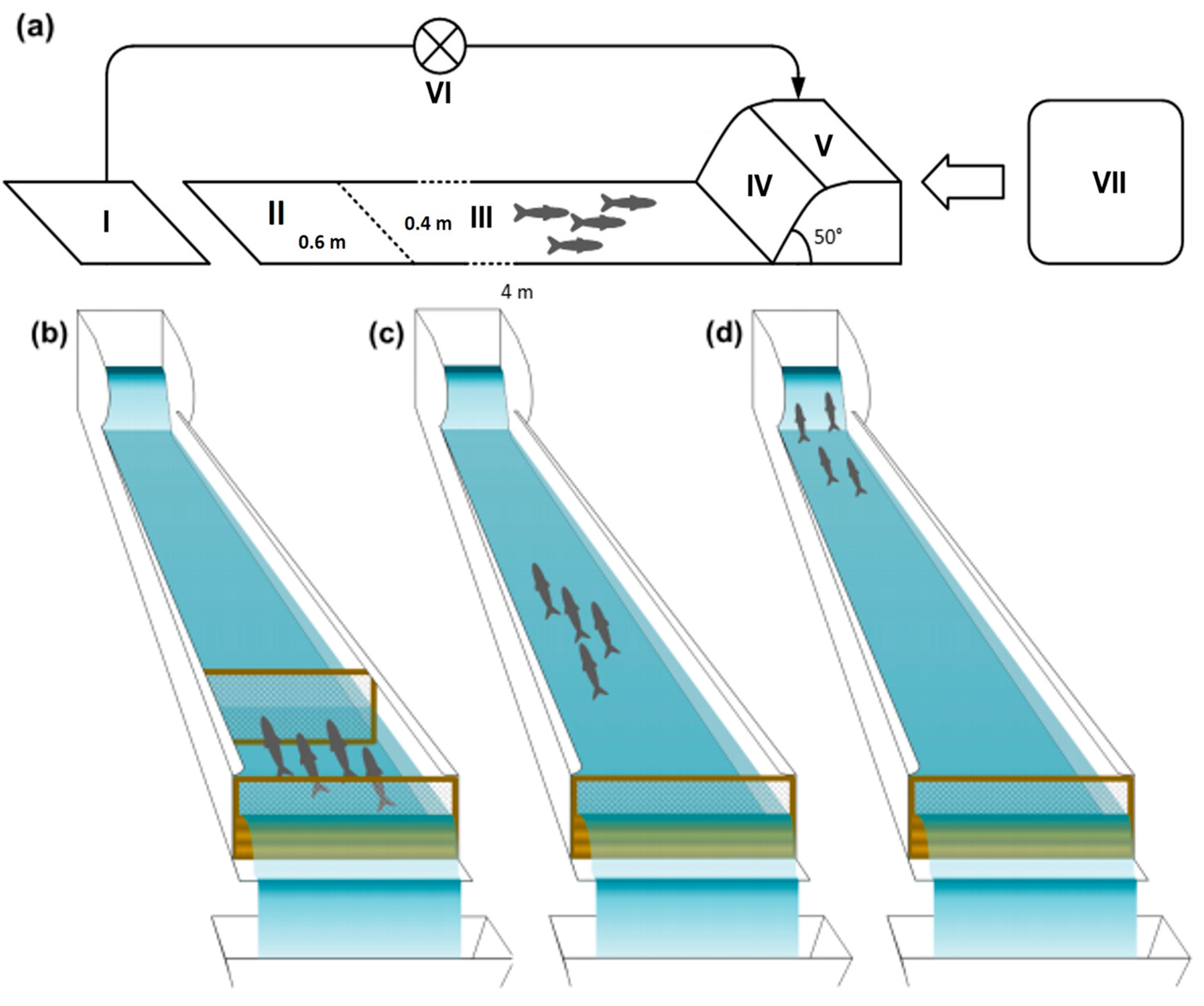 Fishes 08 00462 g001