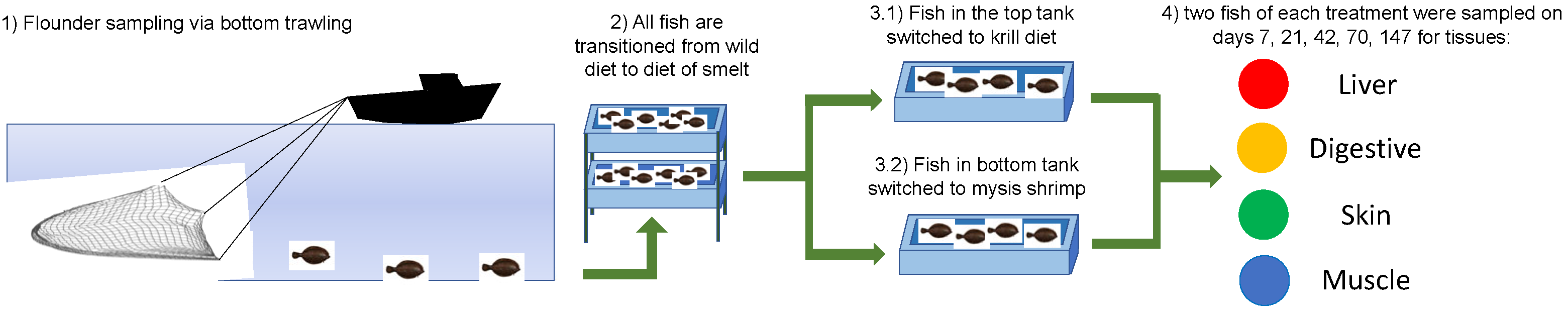 Fishes 08 00469 g001
