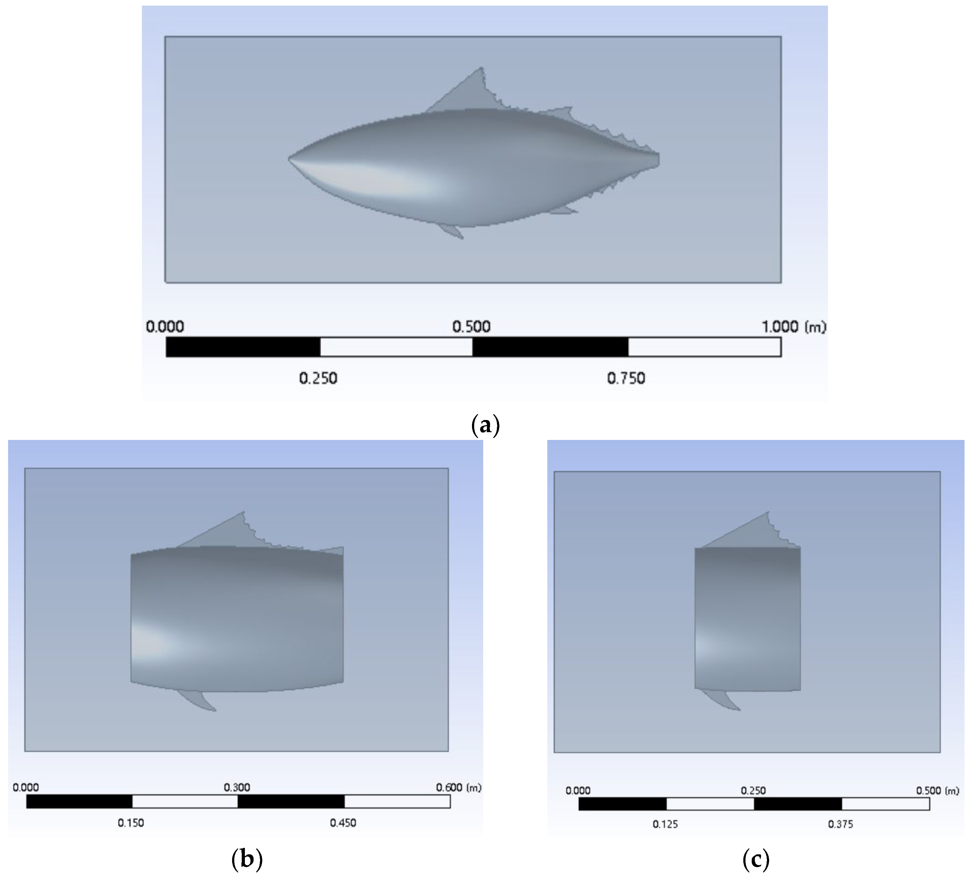 Fishes 08 00470 g001