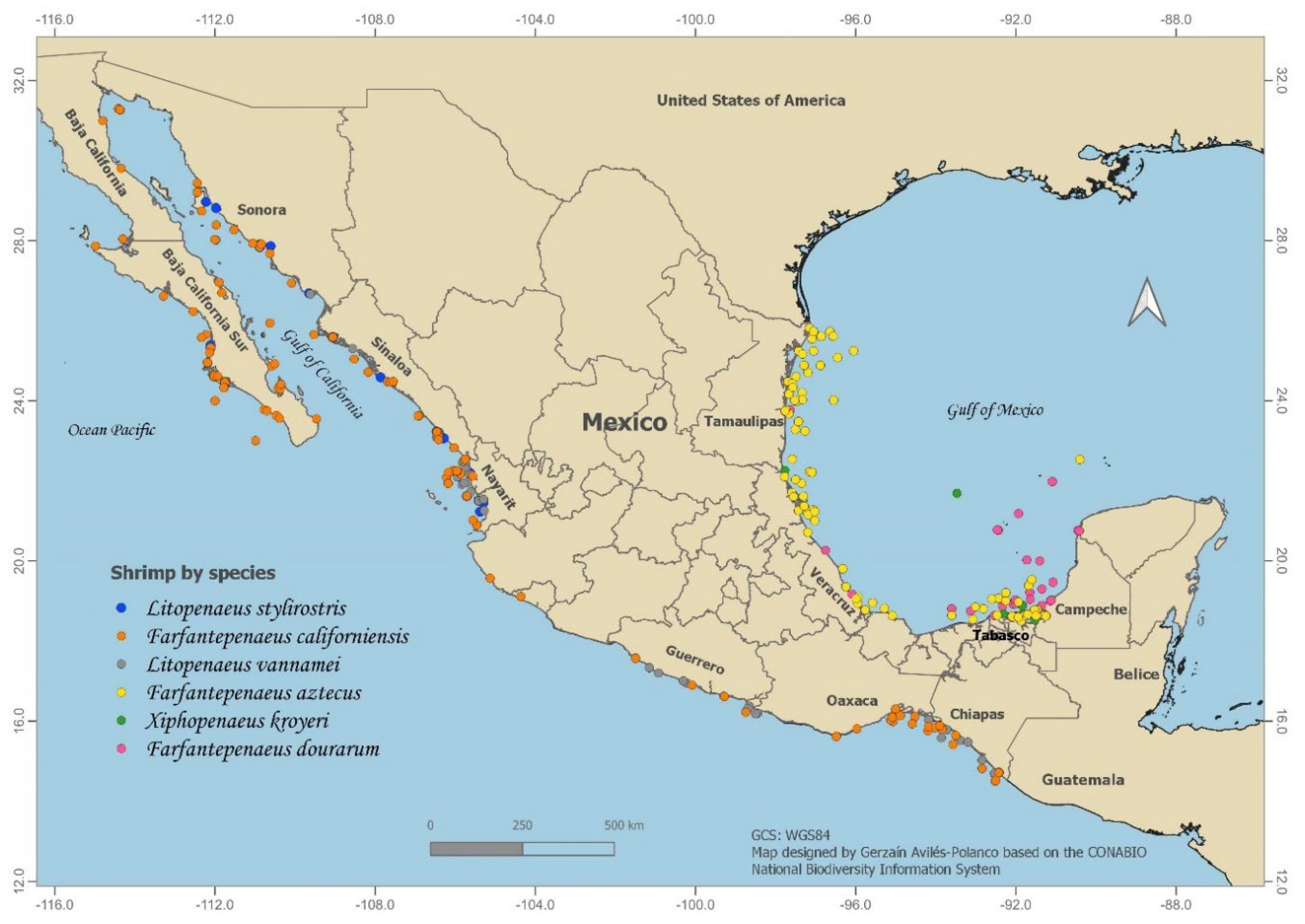 Figure 10 from SHRIMP TRAWL DESIGN IMPROVEMENTS SUGGESTED FOR MEXICAN  FISHERIES