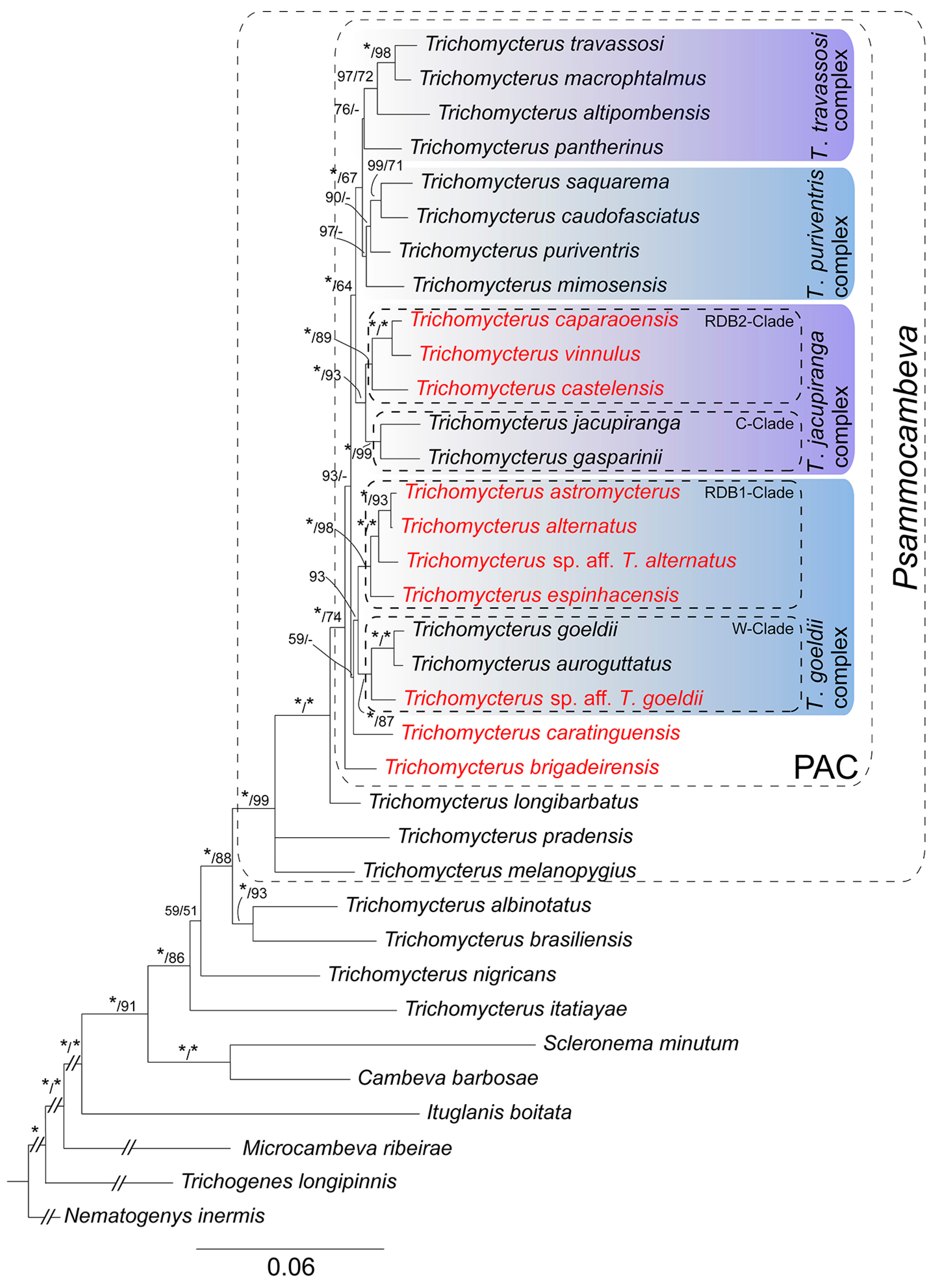 Fishes 08 00474 g002