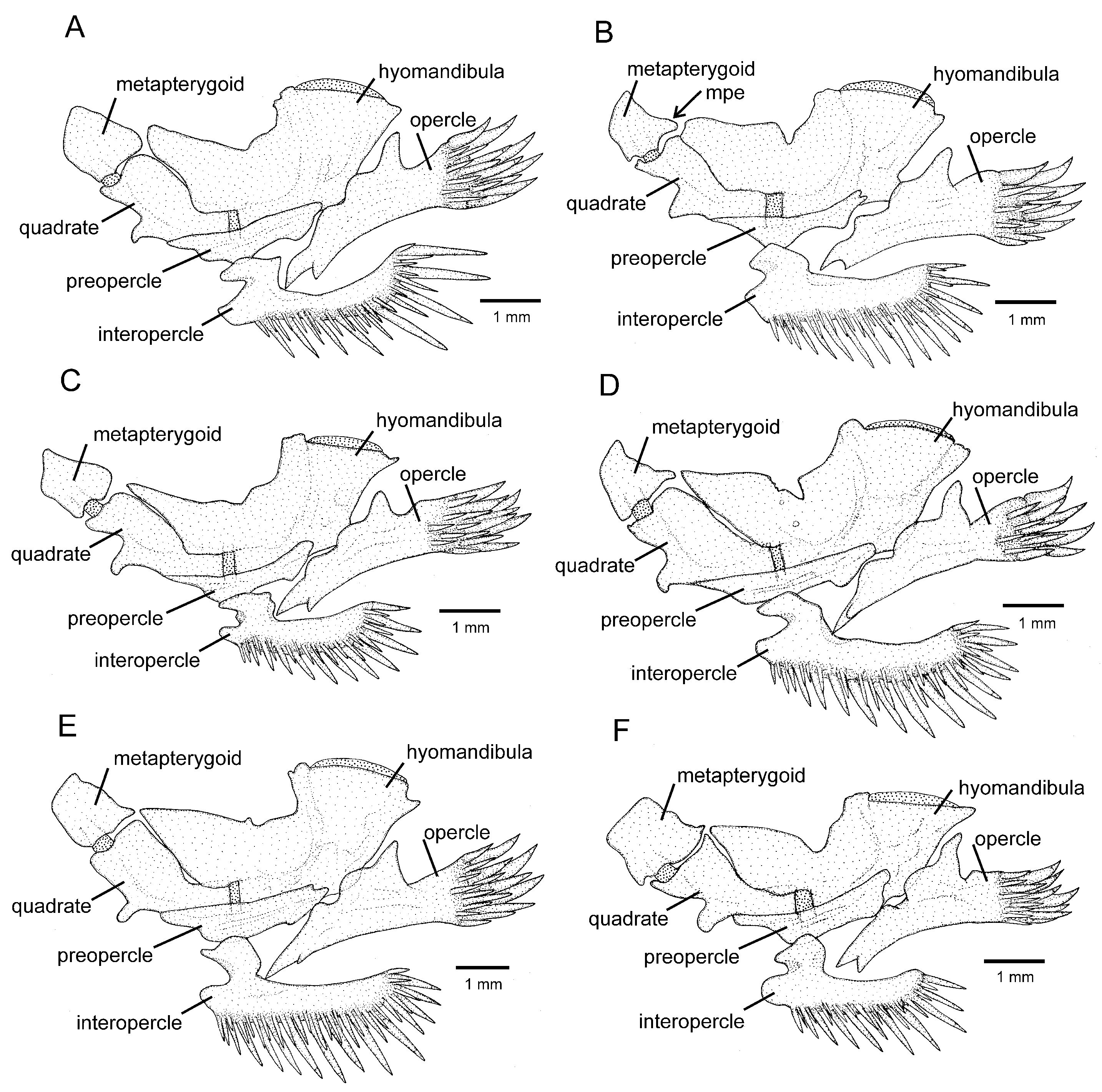 Fishes 08 00474 g003