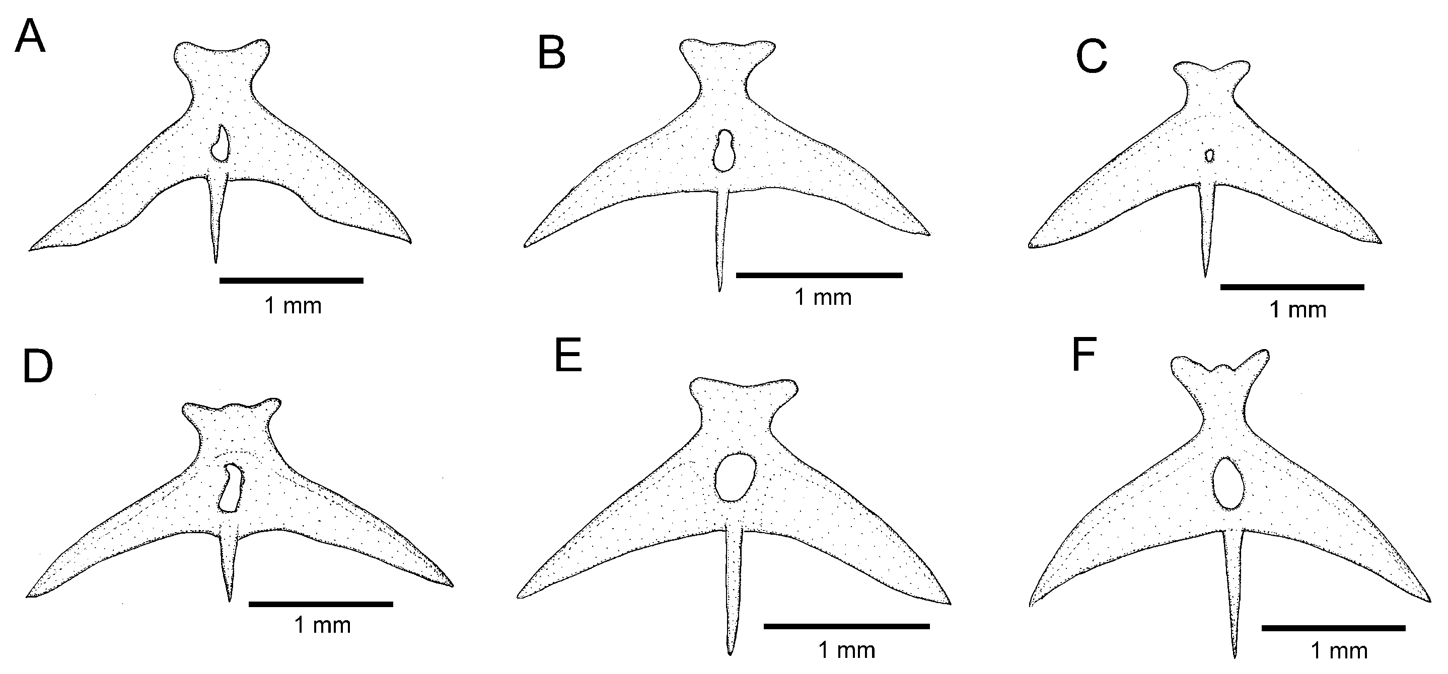 Fishes 08 00474 g006