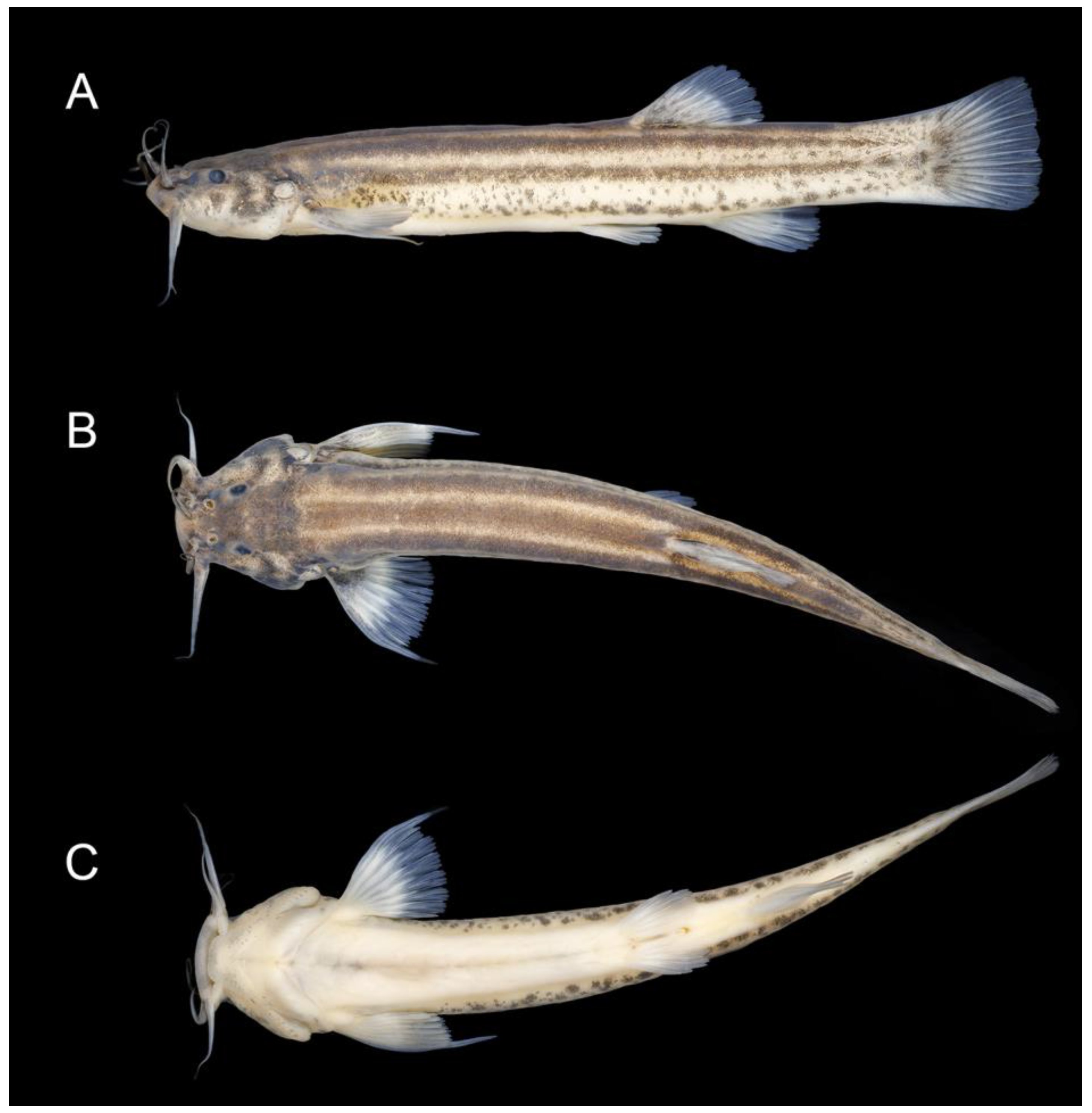 Fishes 08 00474 g009