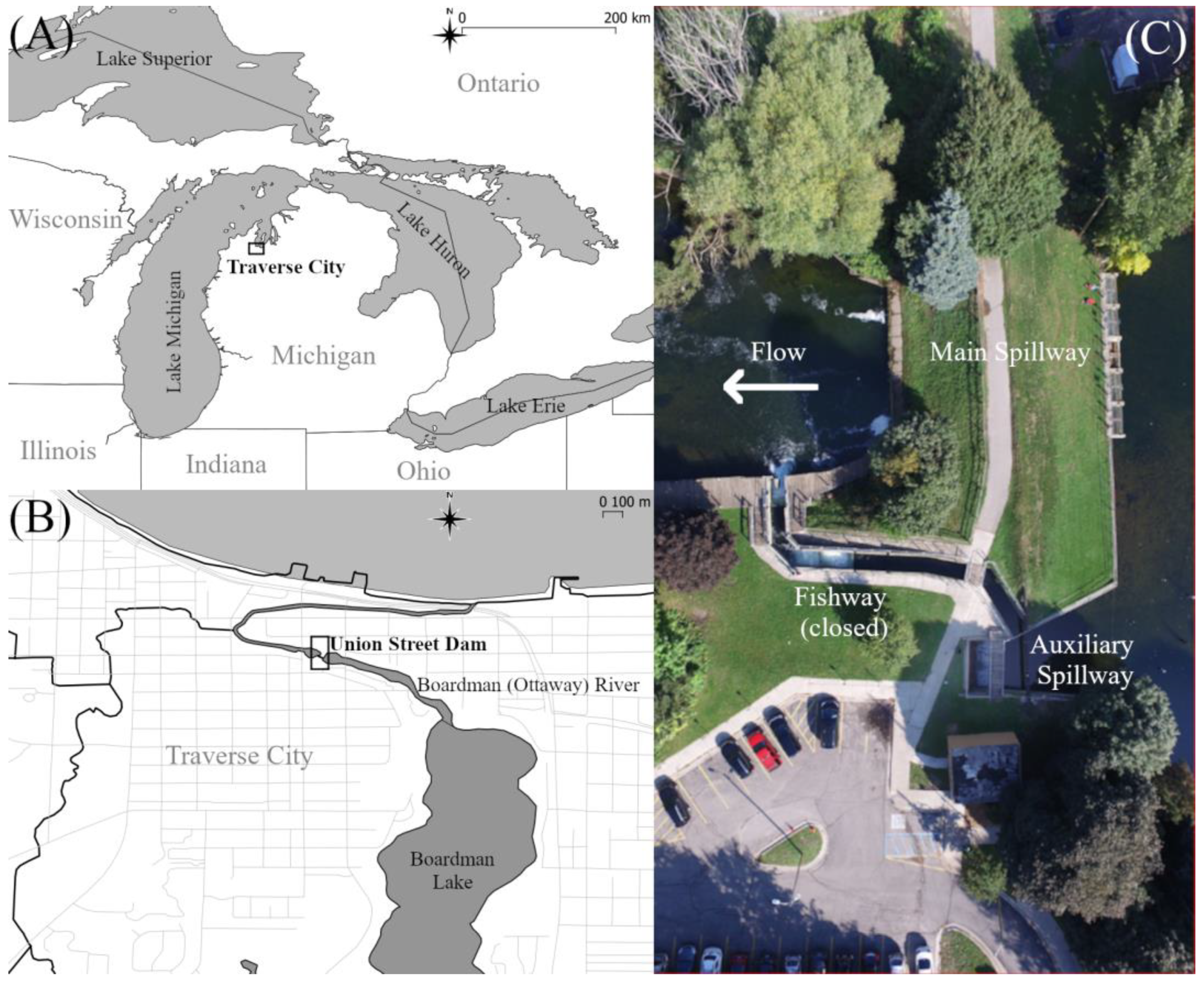 Fishes 08 00476 g001