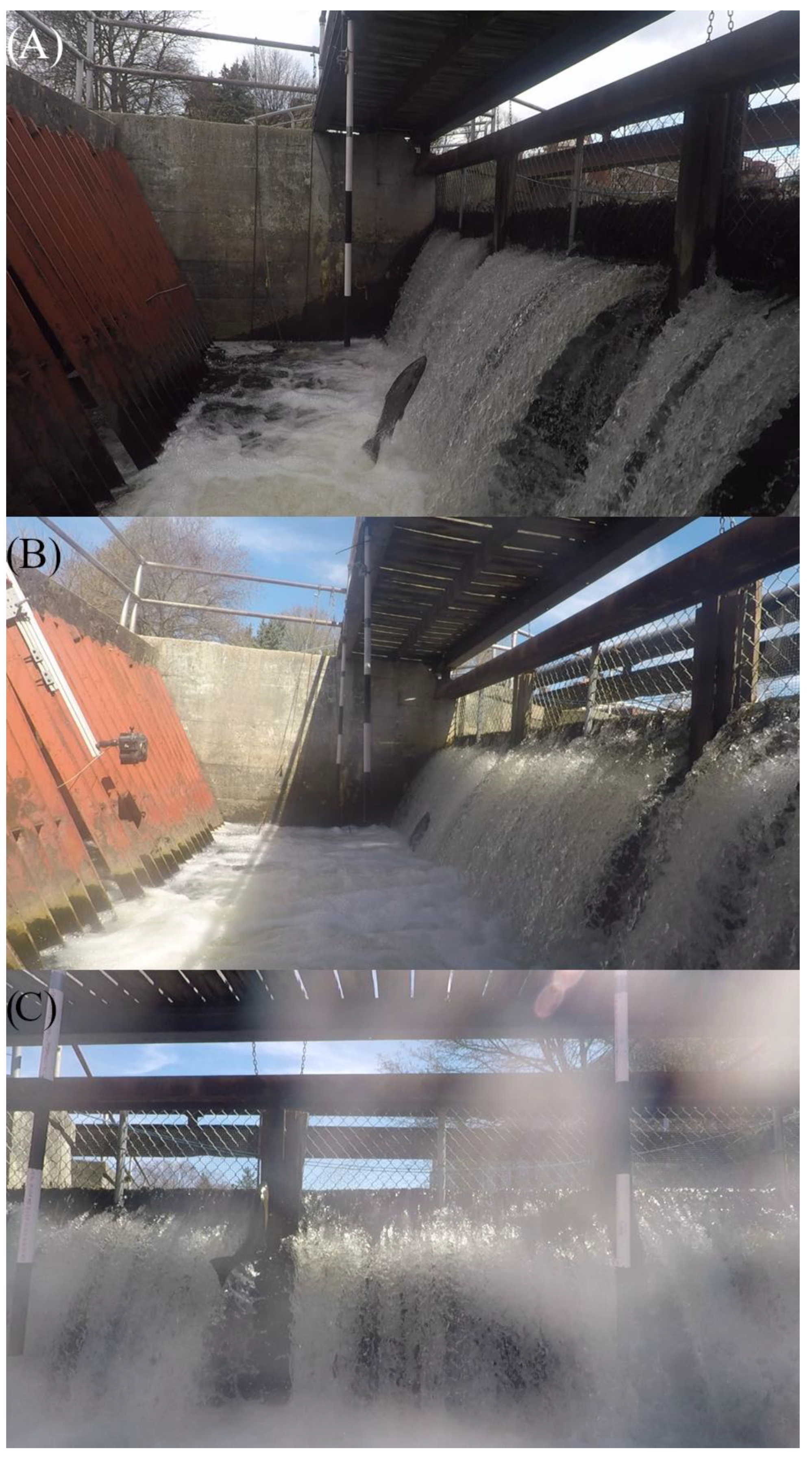 Fishes 08 00476 g003