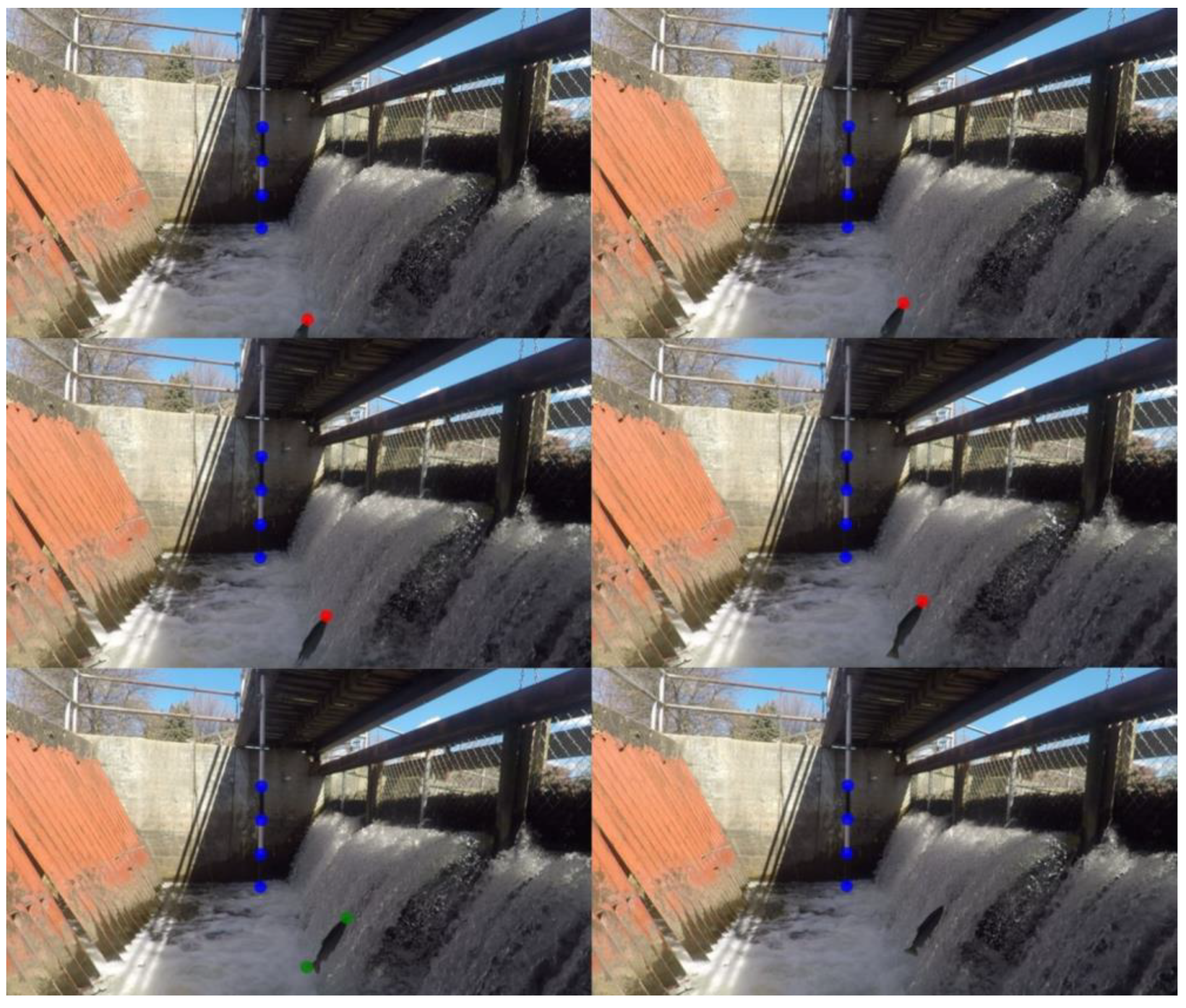 Fishes 08 00476 g004