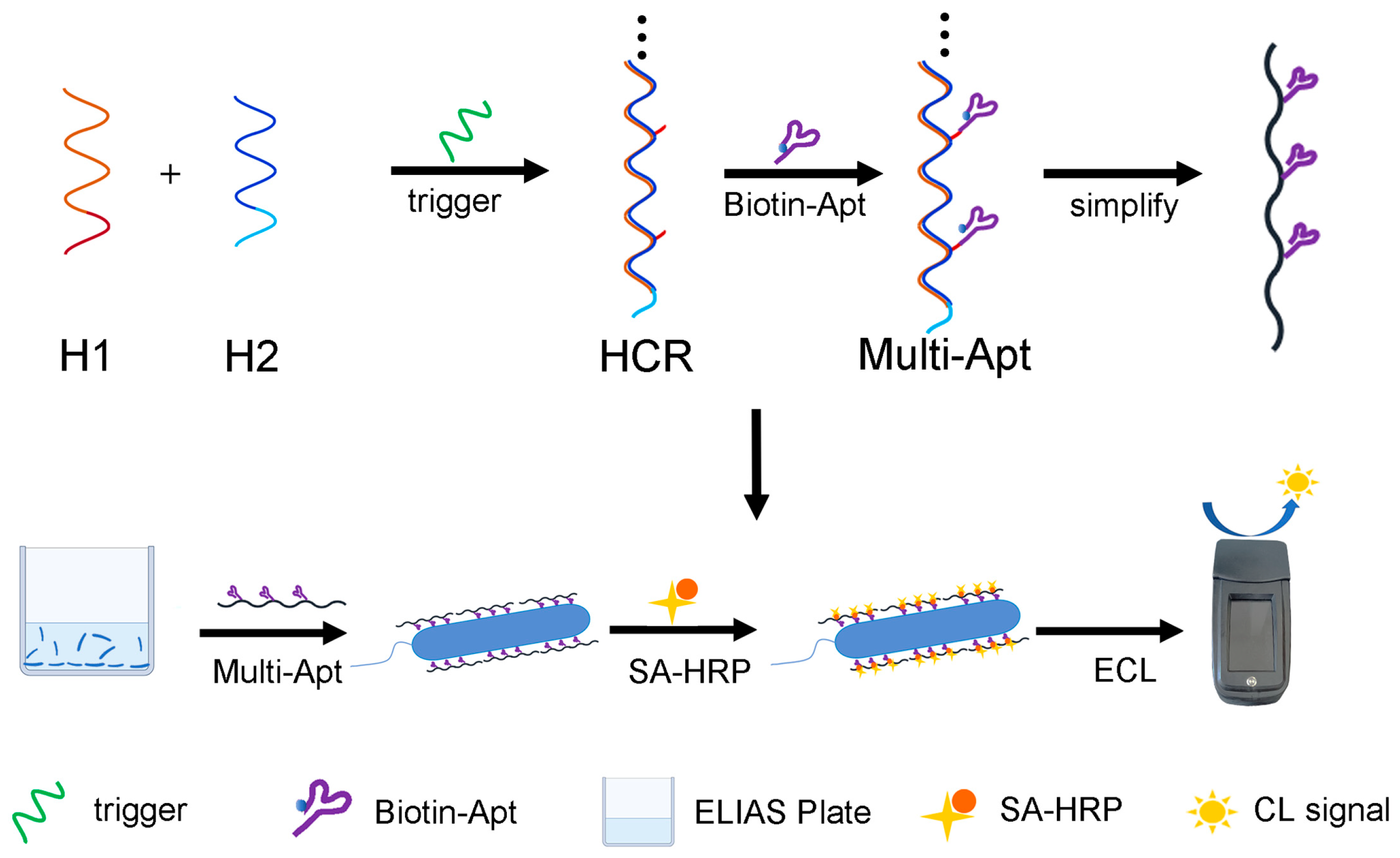 Fishes 08 00477 sch001