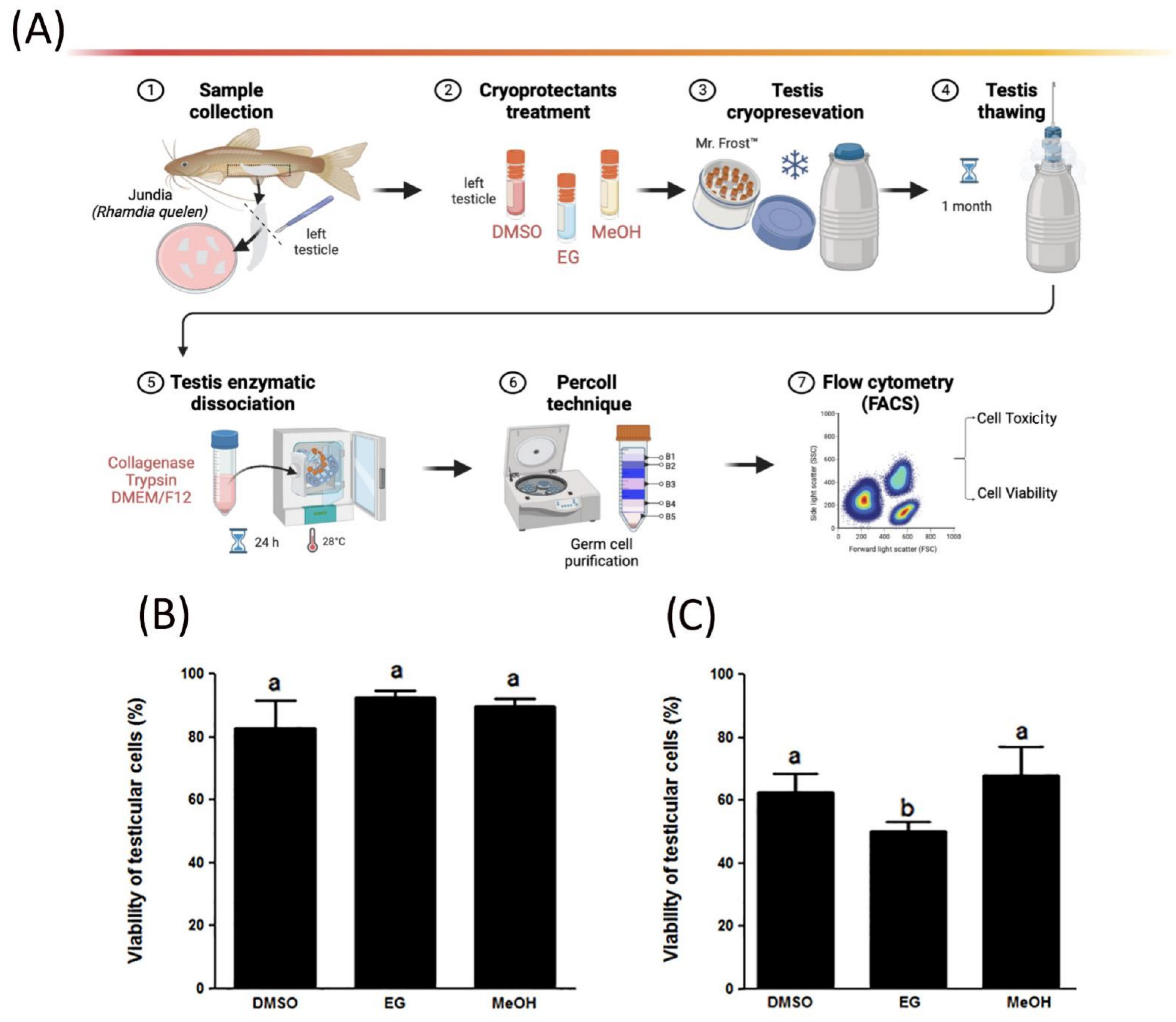 Fishes 08 00478 g001