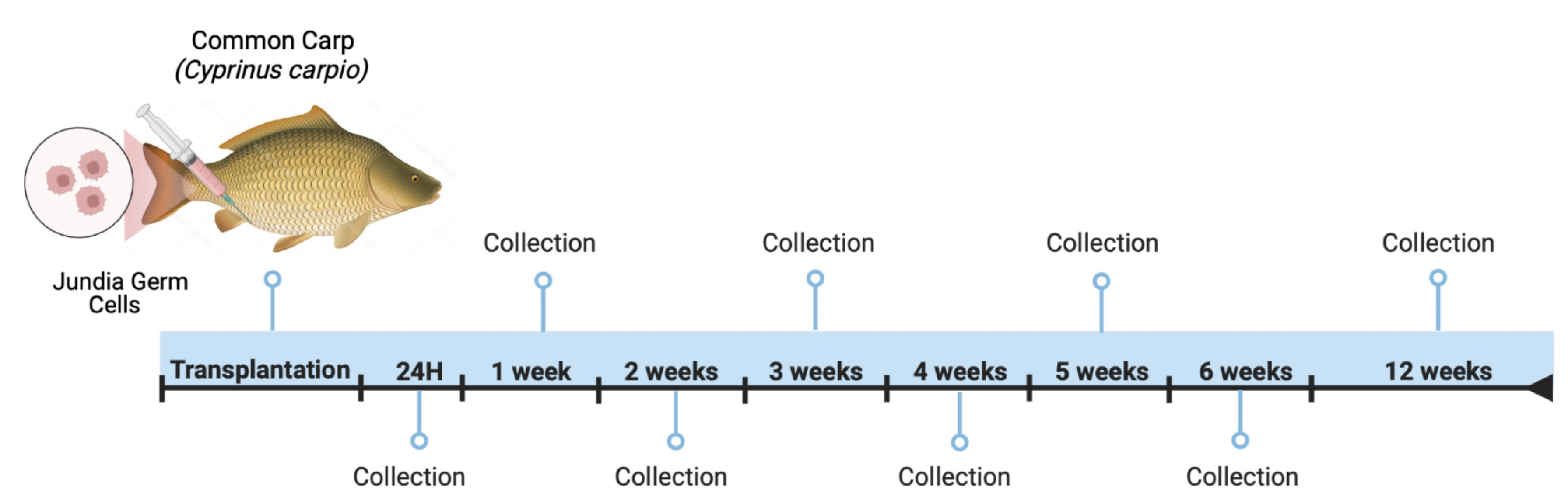 Fishes 08 00478 g004