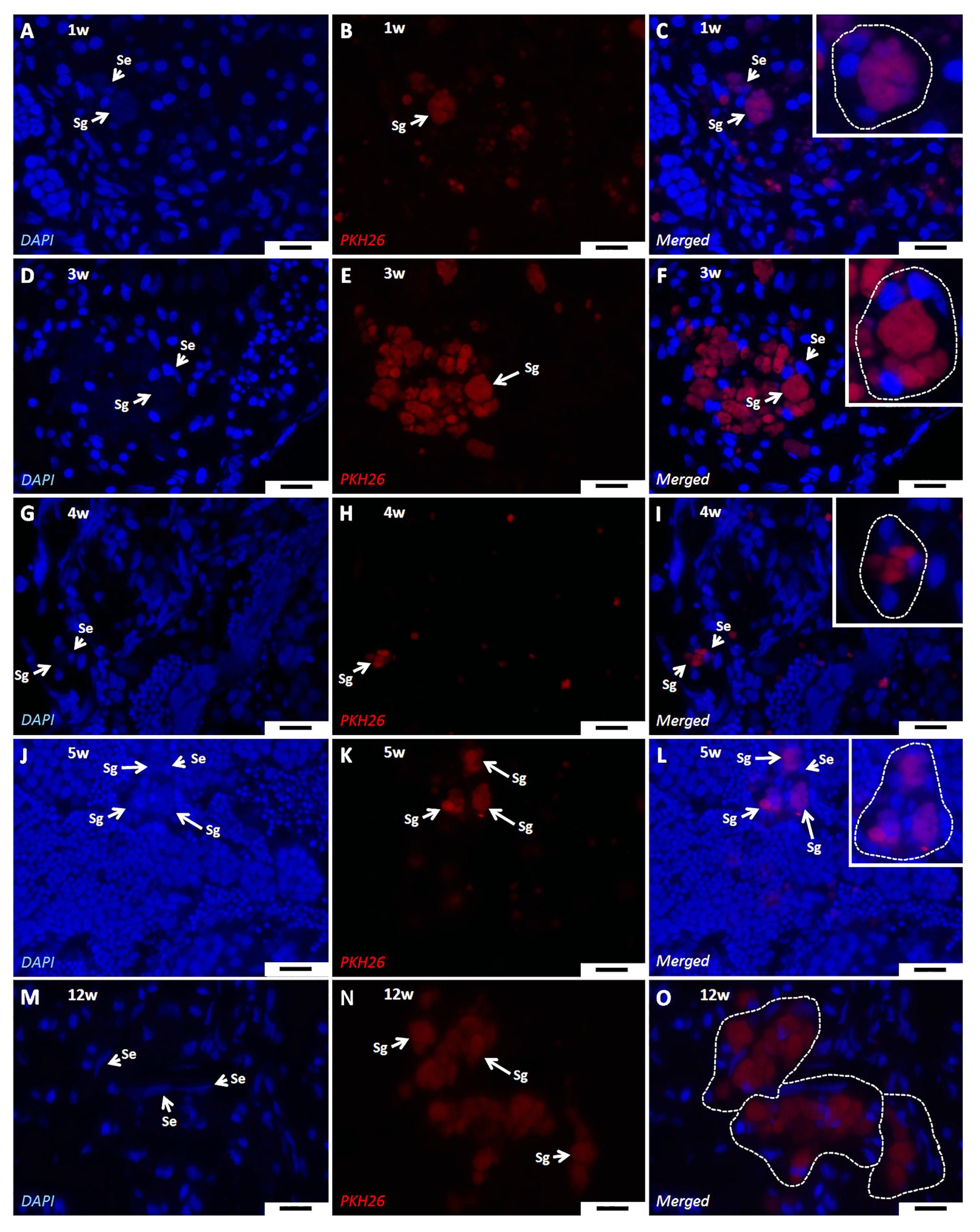 Fishes 08 00478 g005