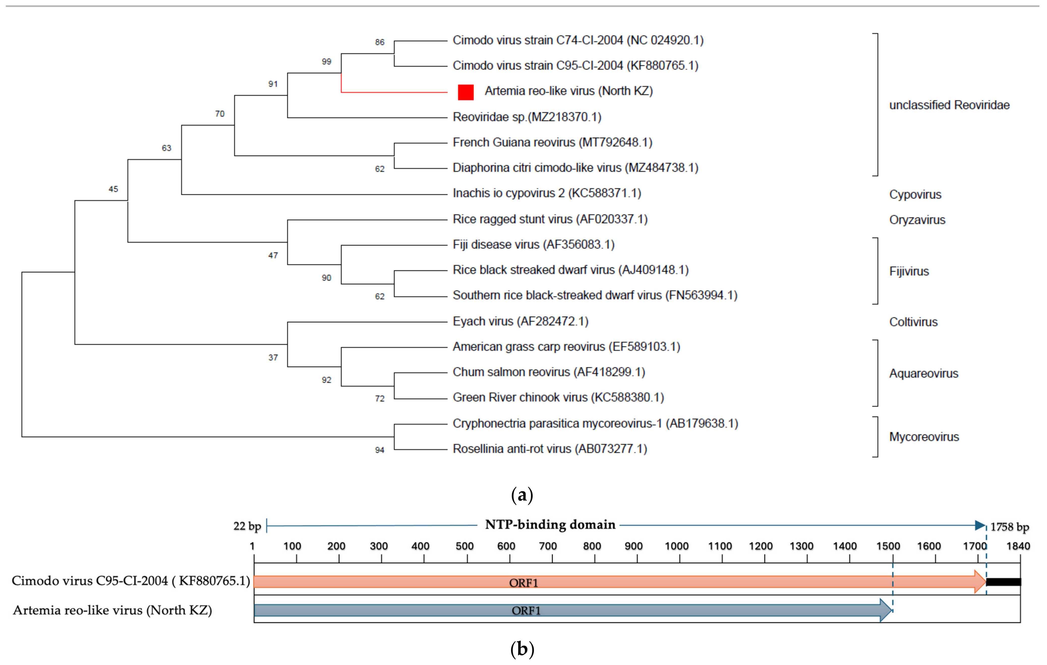 Fishes 08 00487 g003