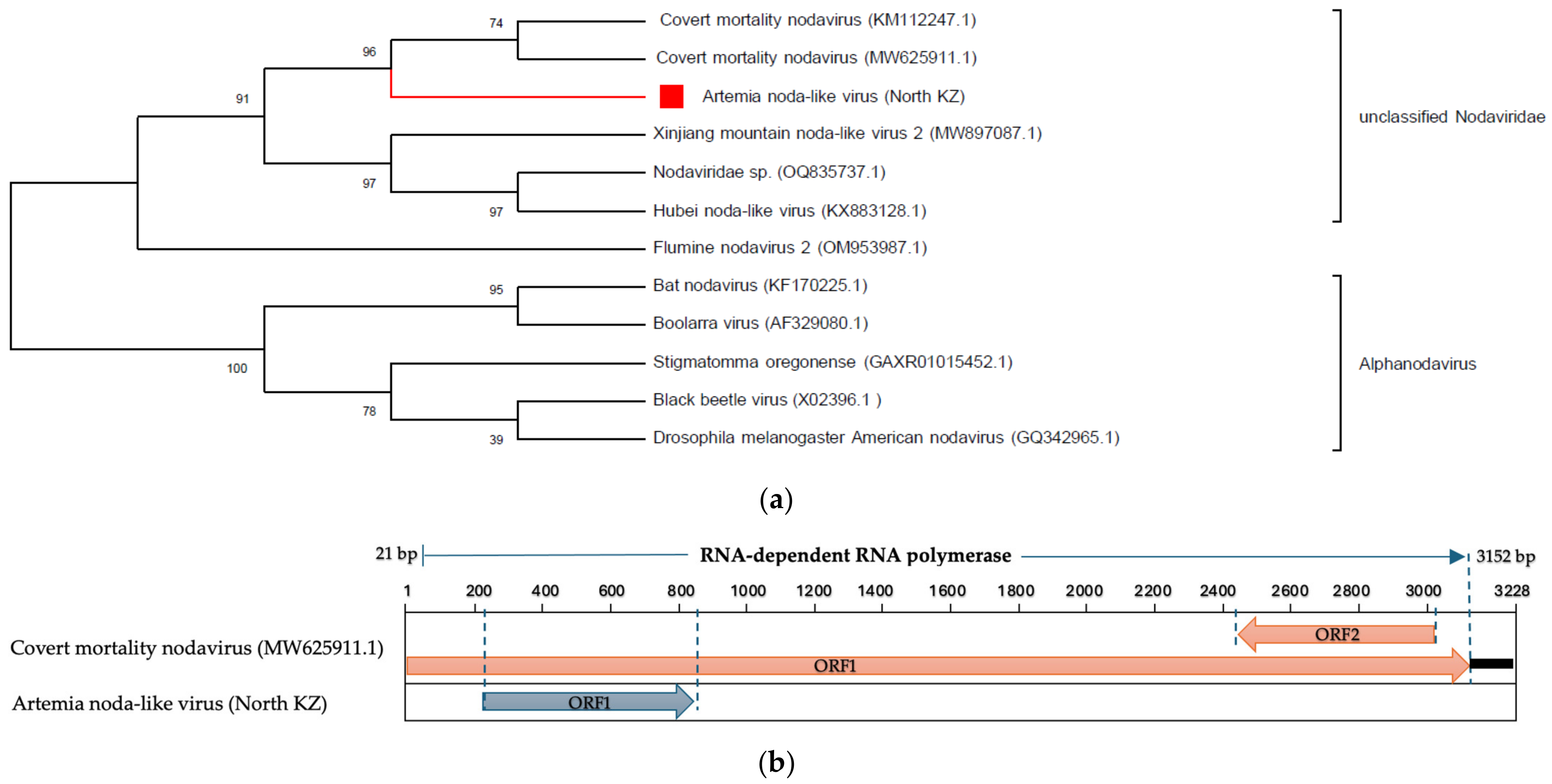 Fishes 08 00487 g004