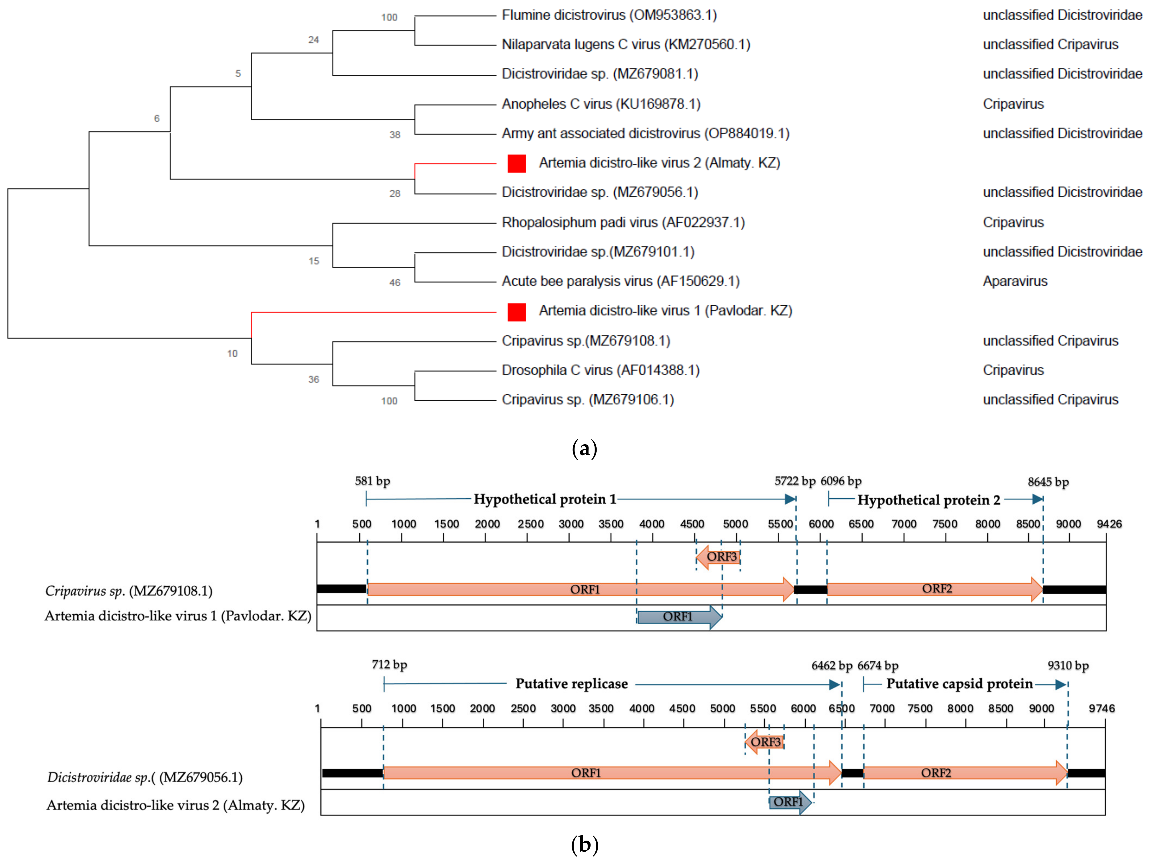 Fishes 08 00487 g005