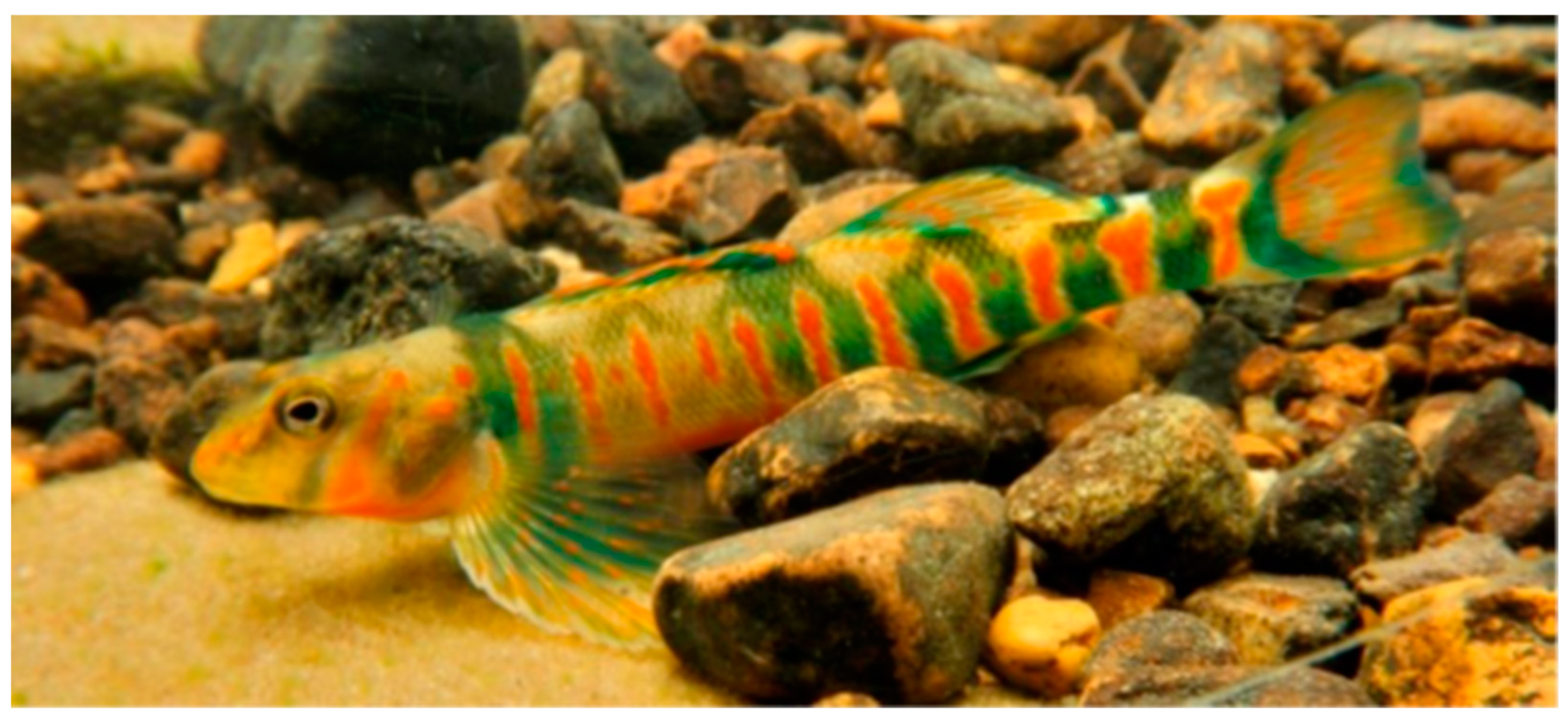 Fishes 08 00490 g001