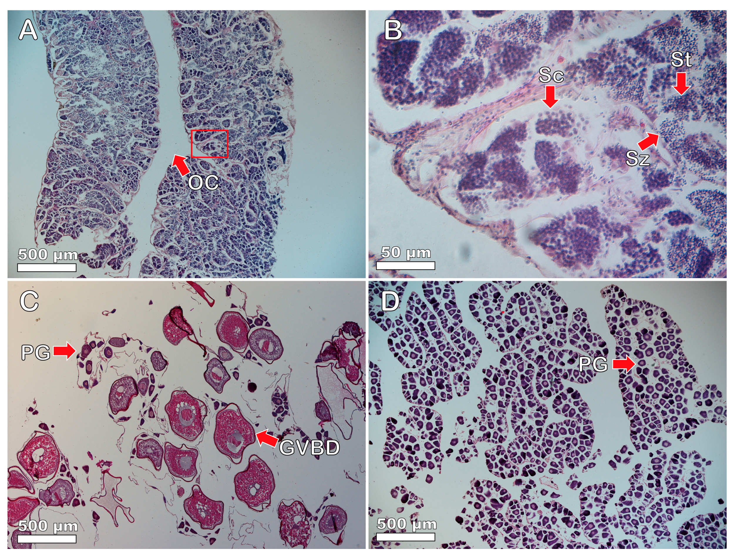 Fishes 08 00491 g004