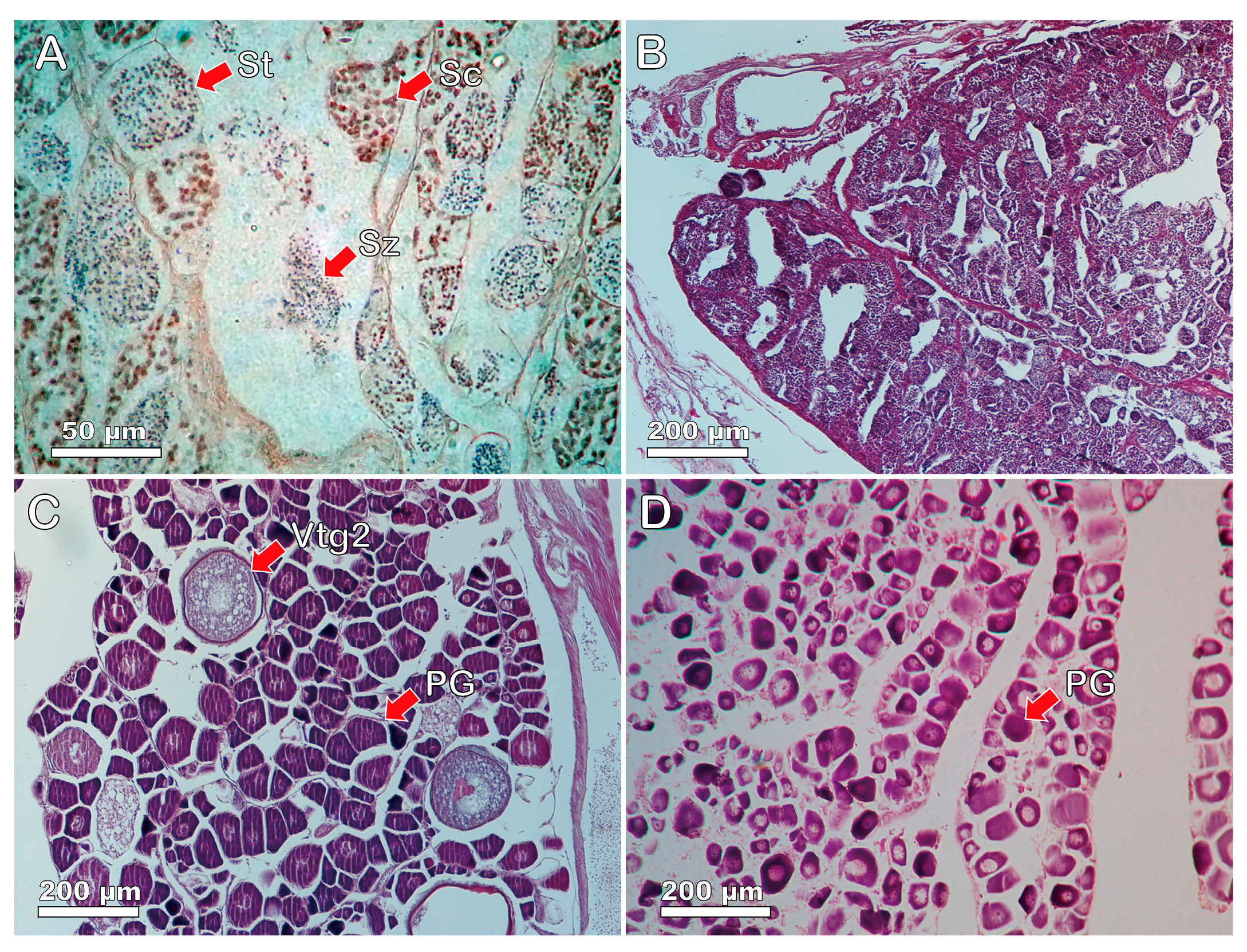 Fishes 08 00491 g006