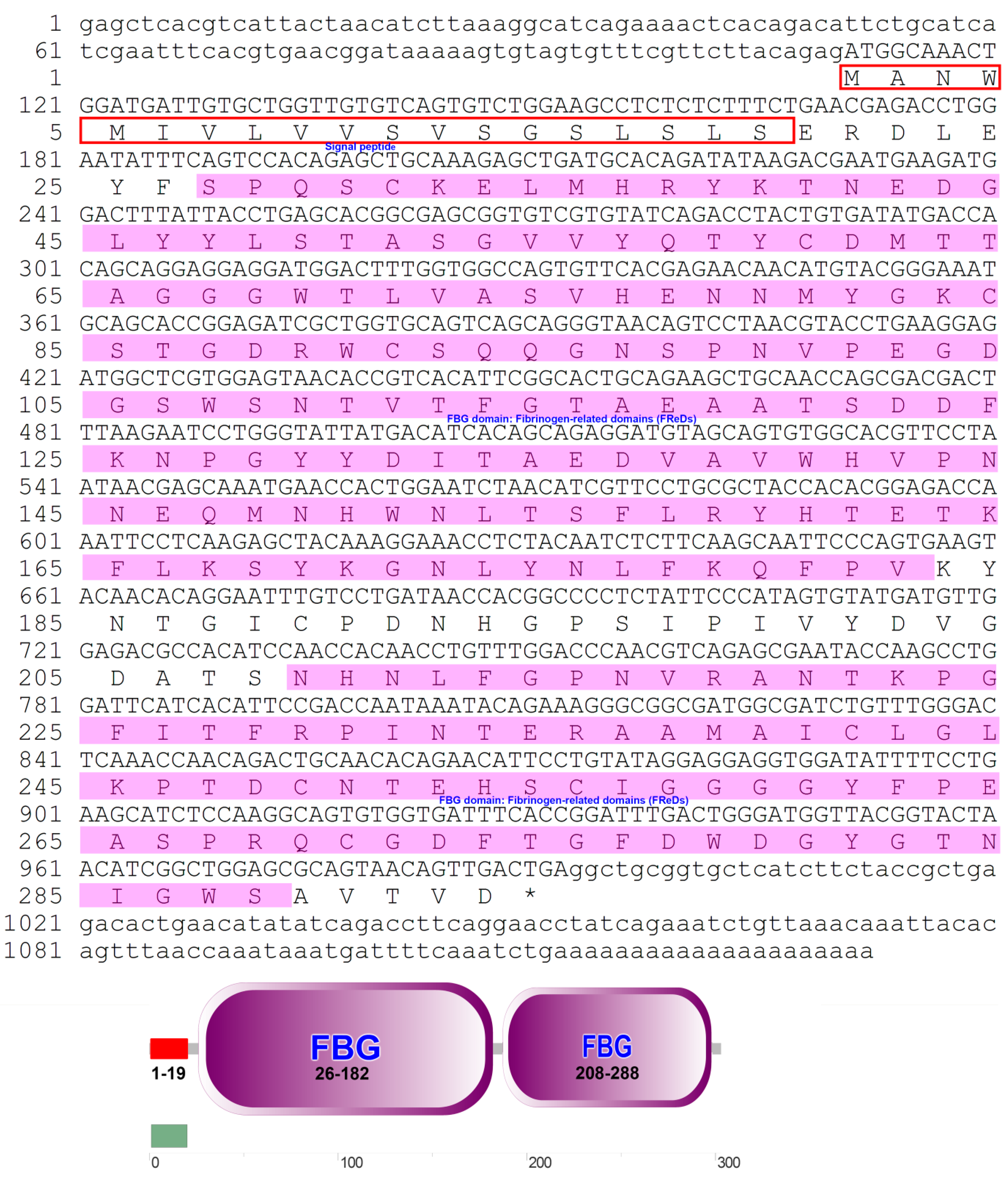 Sequence alignment of the C-and A-sheet domains of the lamprey LV