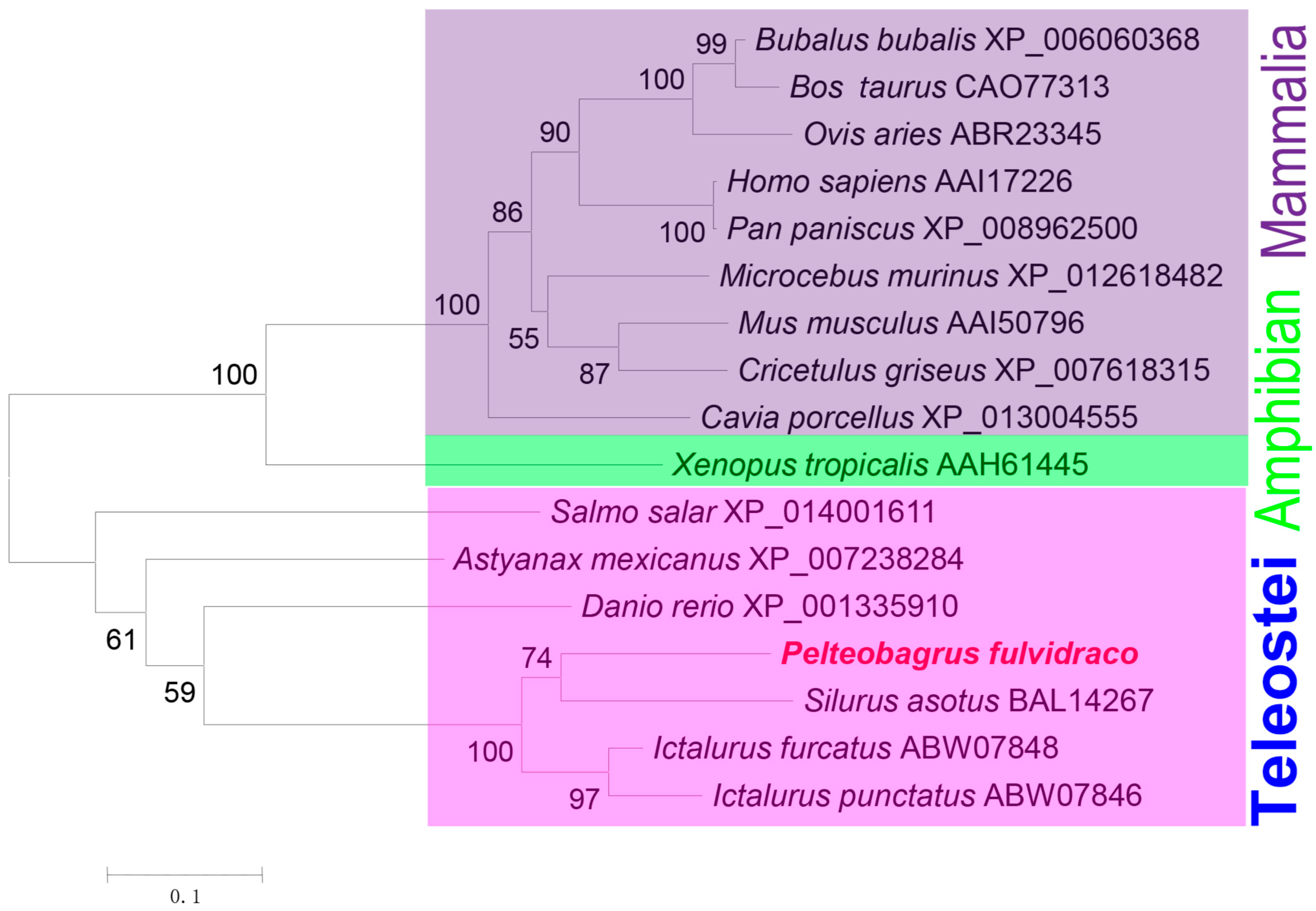 Fishes 08 00492 g004
