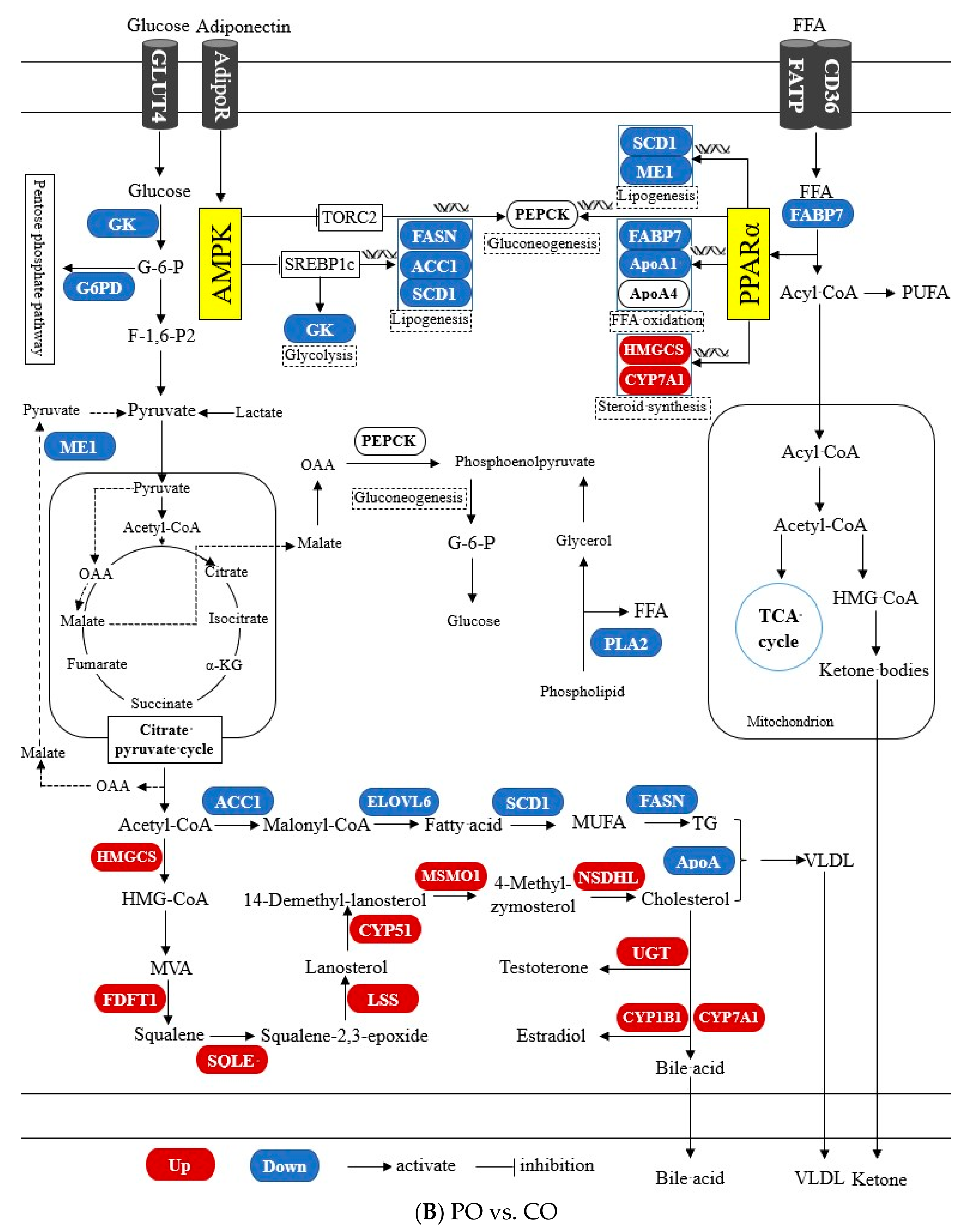Fishes 08 00495 g005b