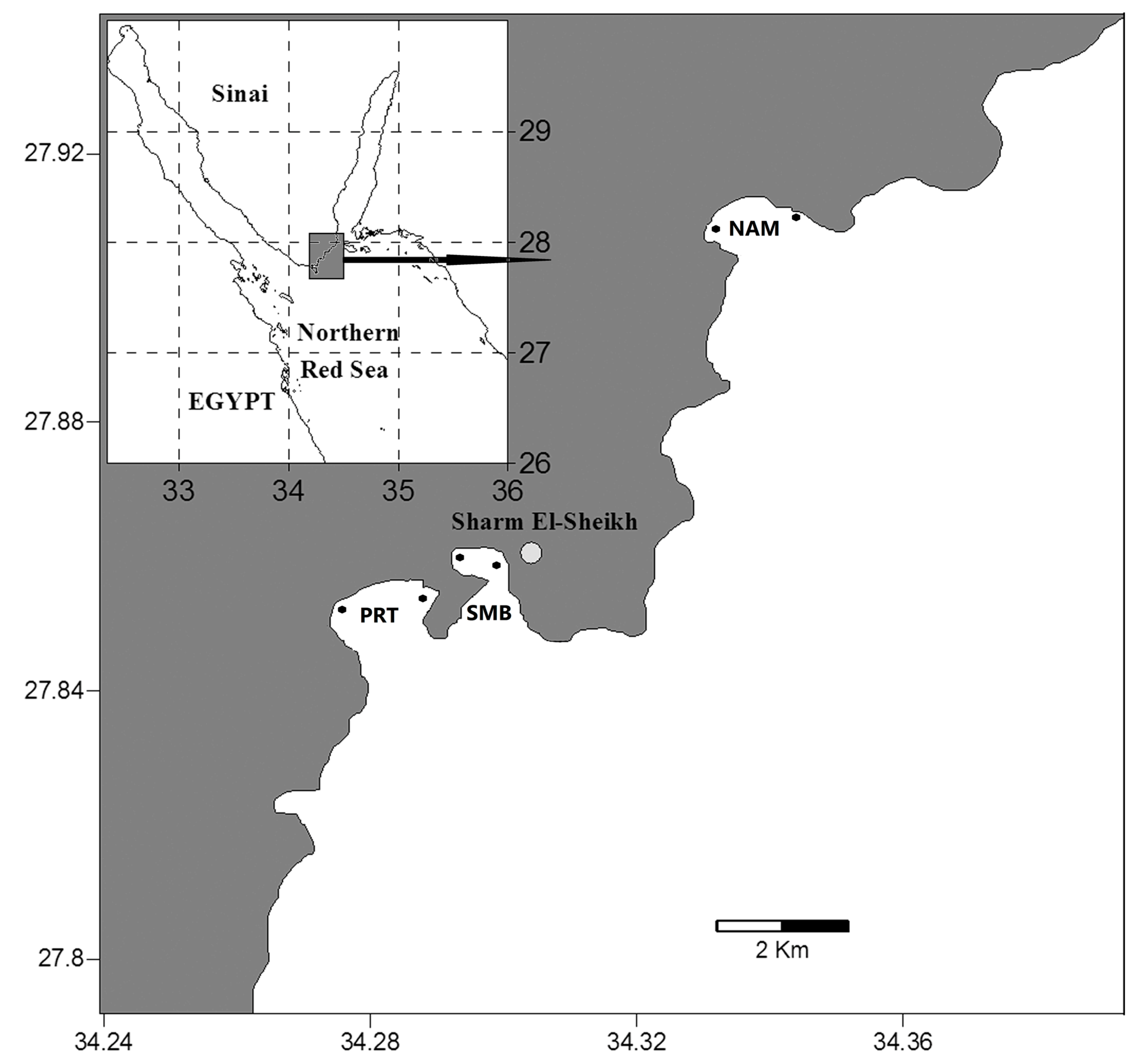 Fishes 08 00500 g001