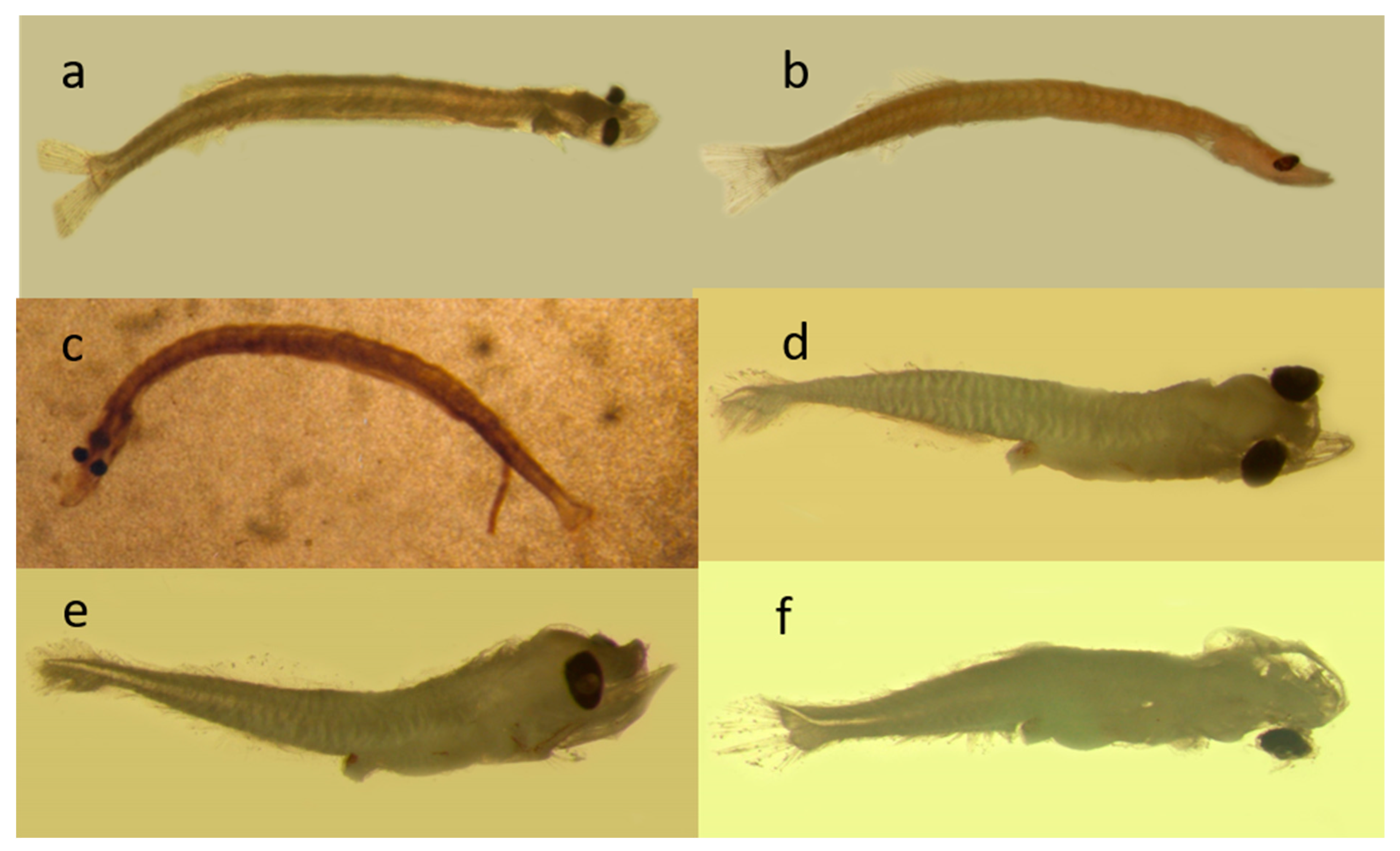 Fishes 08 00500 g003