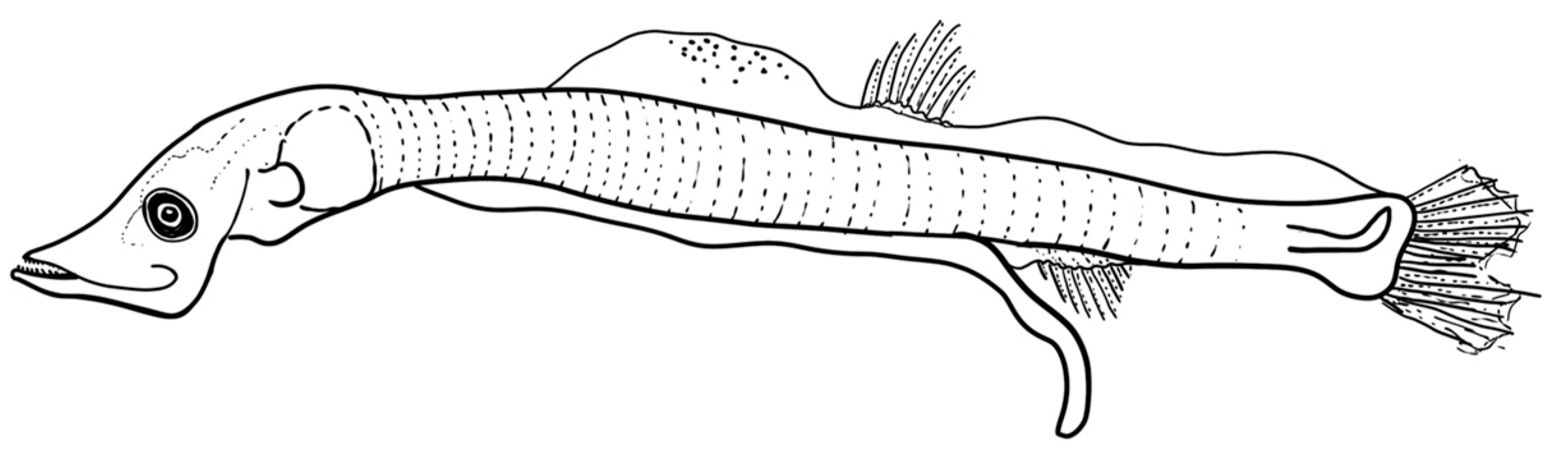 Fishes 08 00500 g007