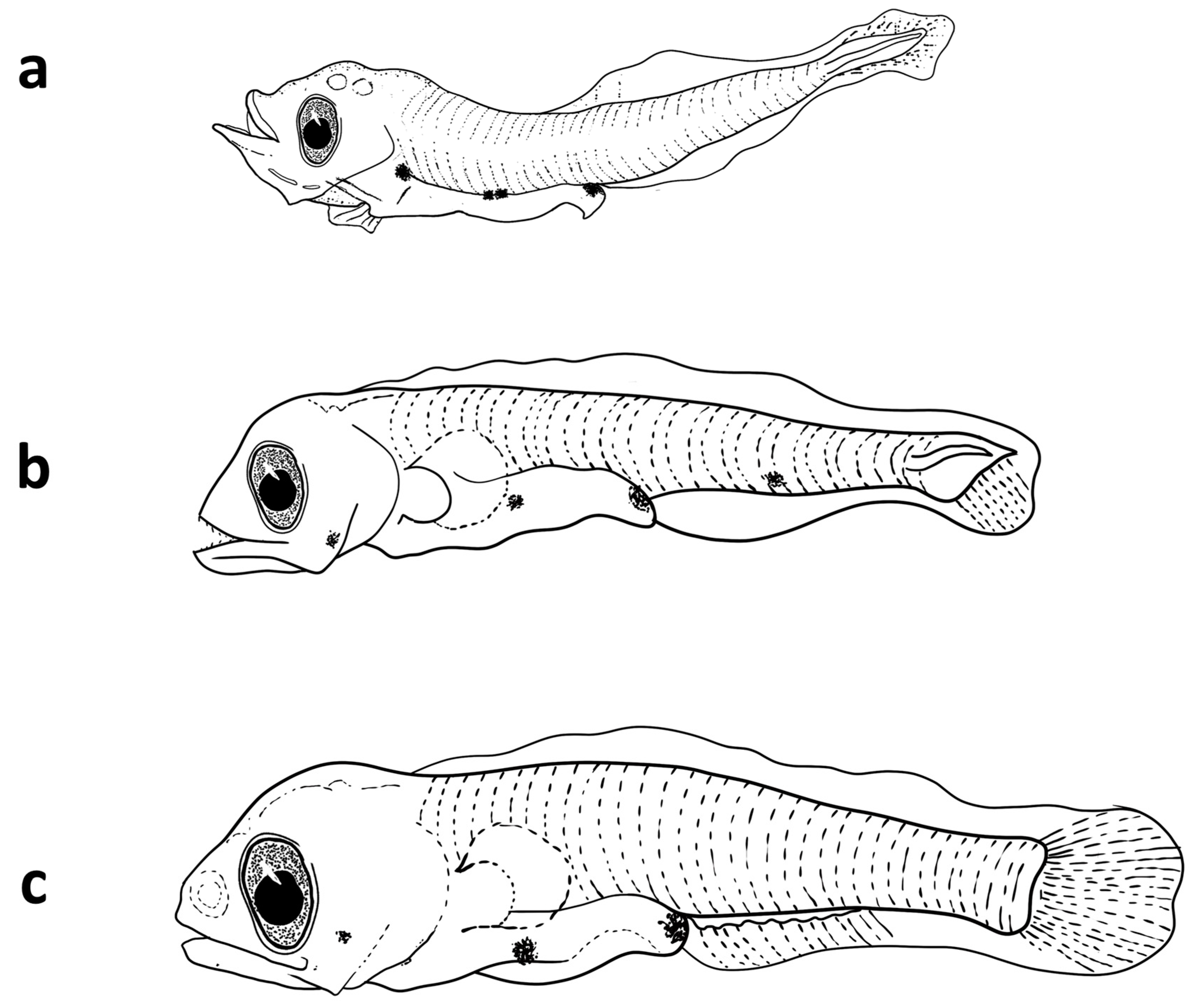Fishes 08 00500 g009
