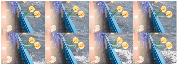 Fishes 08 00502 i002