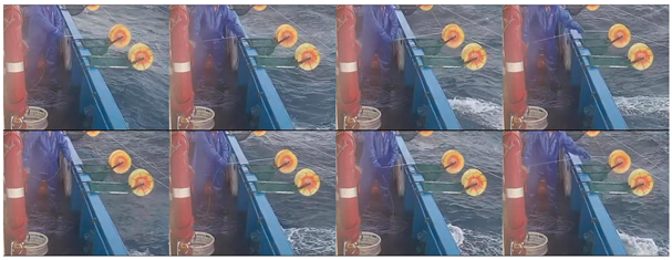 Fishes 08 00502 i003