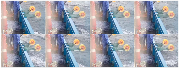 Fishes 08 00502 i005