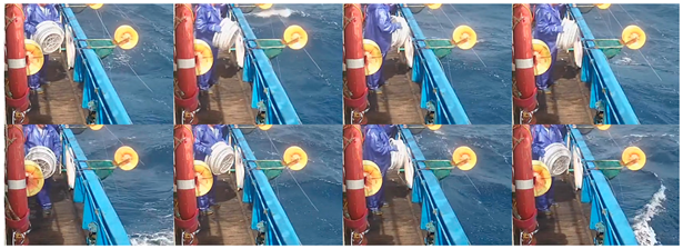 Fishes 08 00502 i007