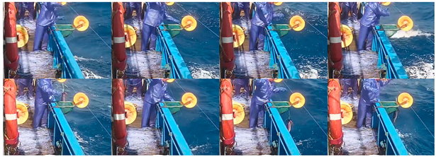 Fishes 08 00502 i010