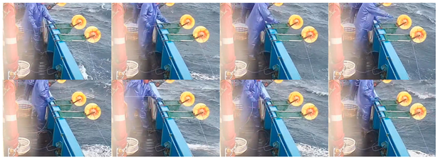 Fishes 08 00502 i012