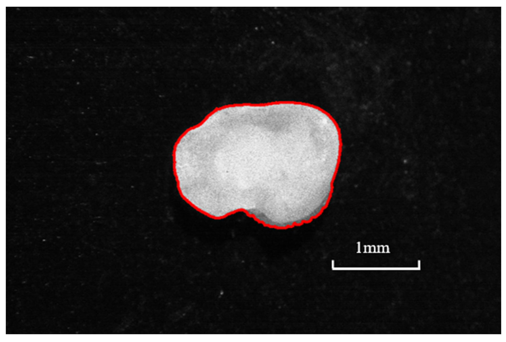 Fishes 08 00504 g002